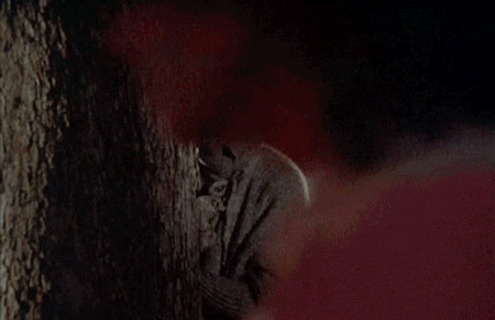 mr mom halloween gif