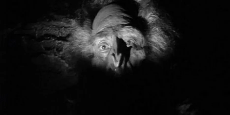 abominable snowman of the himalayas