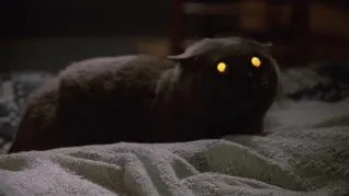 Pet Sematary Blu-ray cap 3