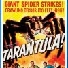 tarantula blu-ray