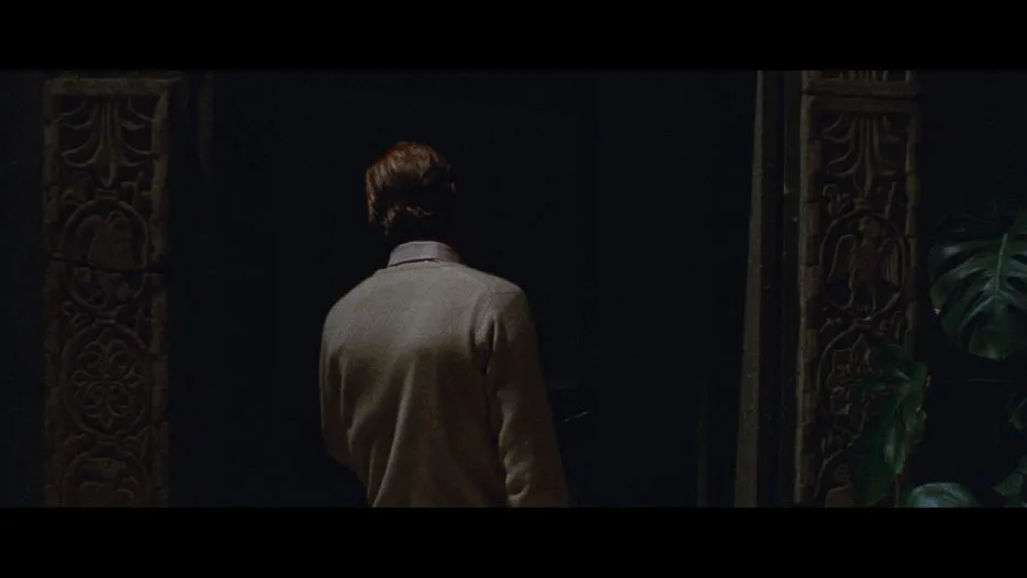 The Cat o' Nine Tails cap 12