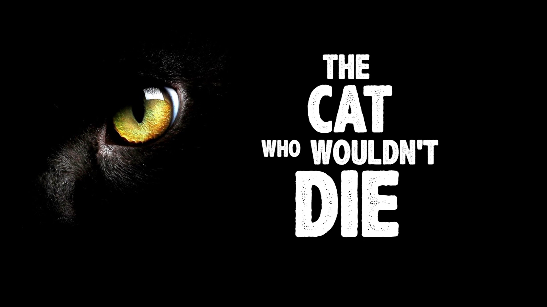 The Cat Who Wouldn't Die - Interview with Assistant Director Luigi Cozzi