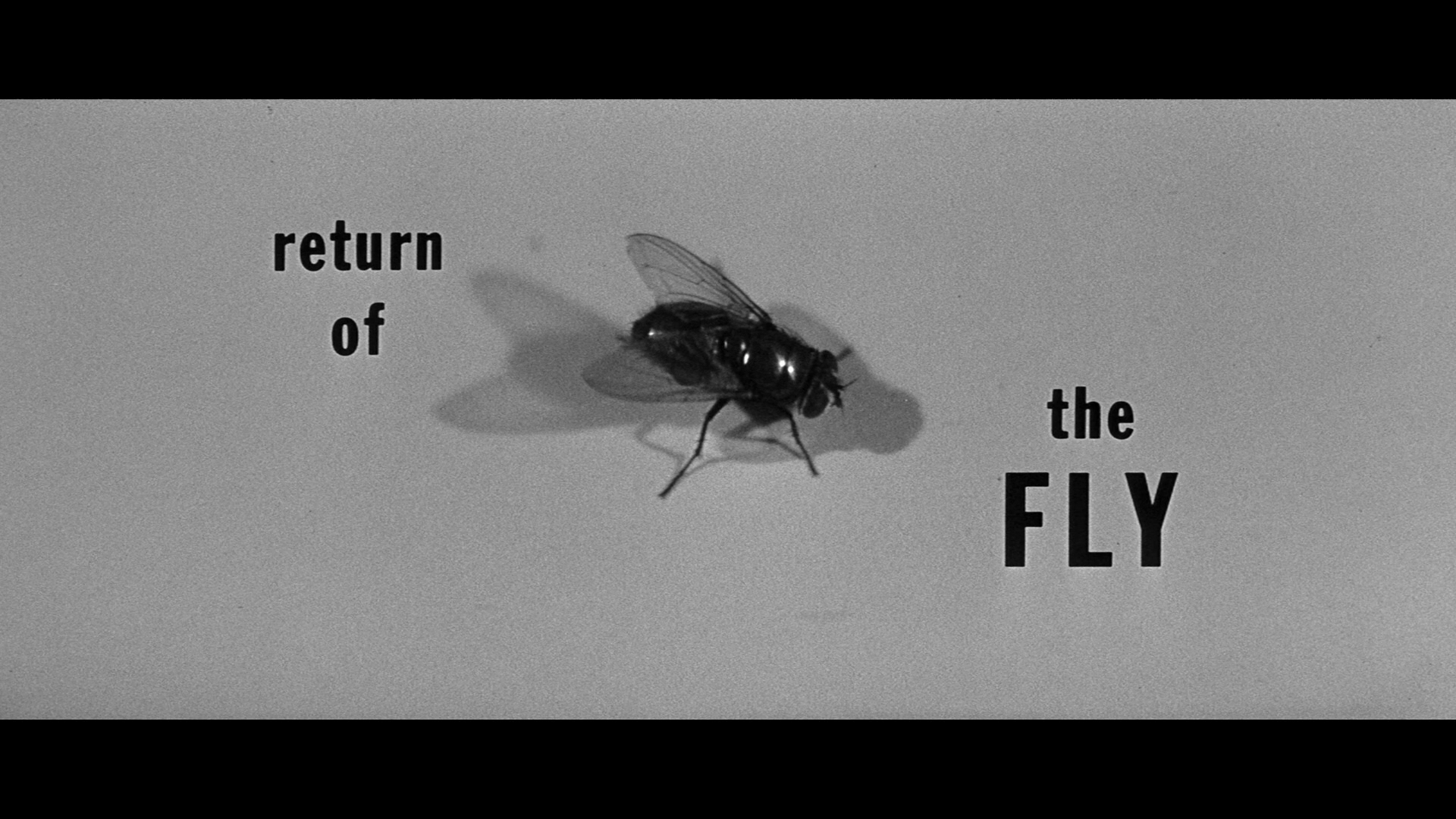 Return of the Fly cap 1