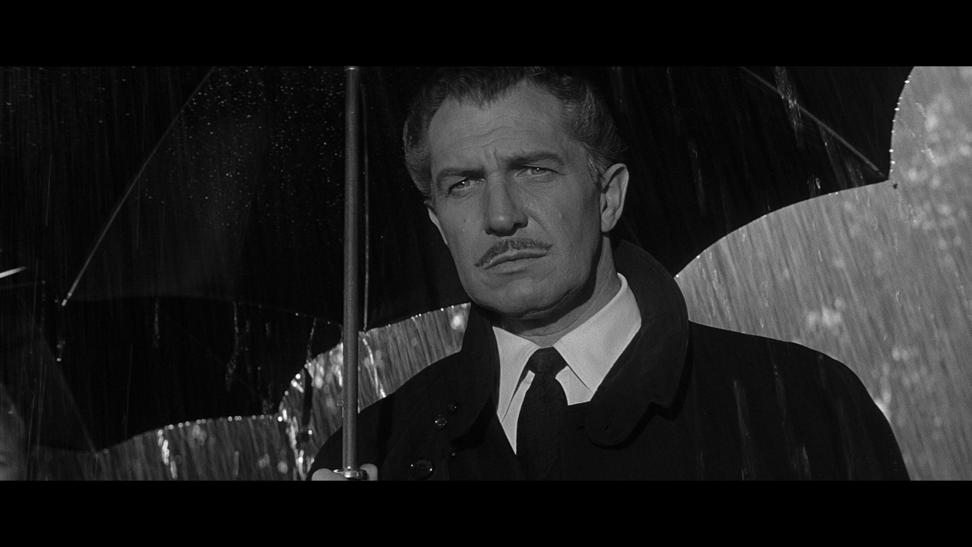 Return of the Fly cap 2