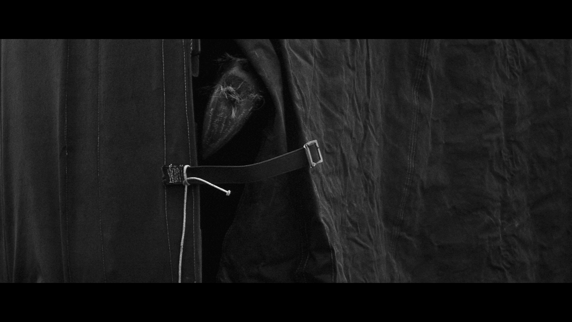 Return of the Fly cap 7