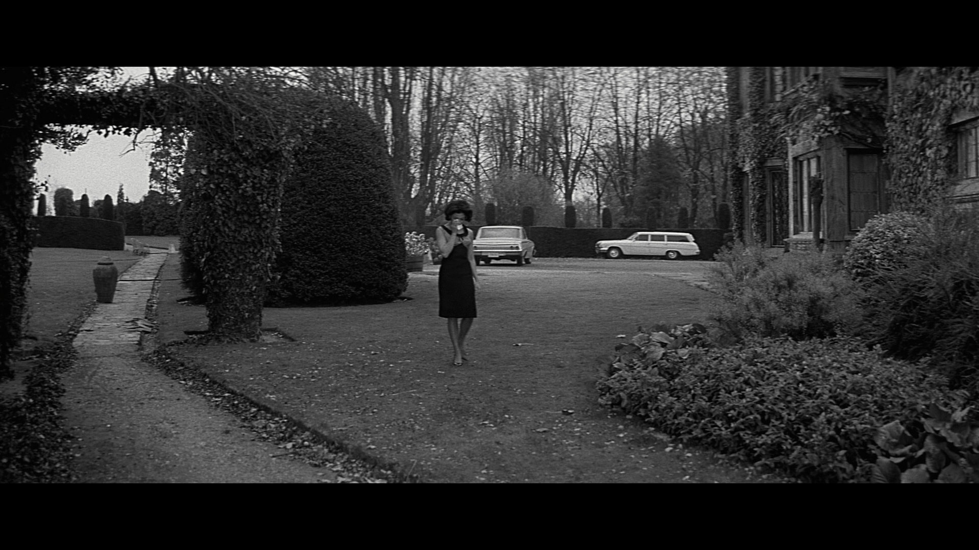 The Curse of the Fly cap 6