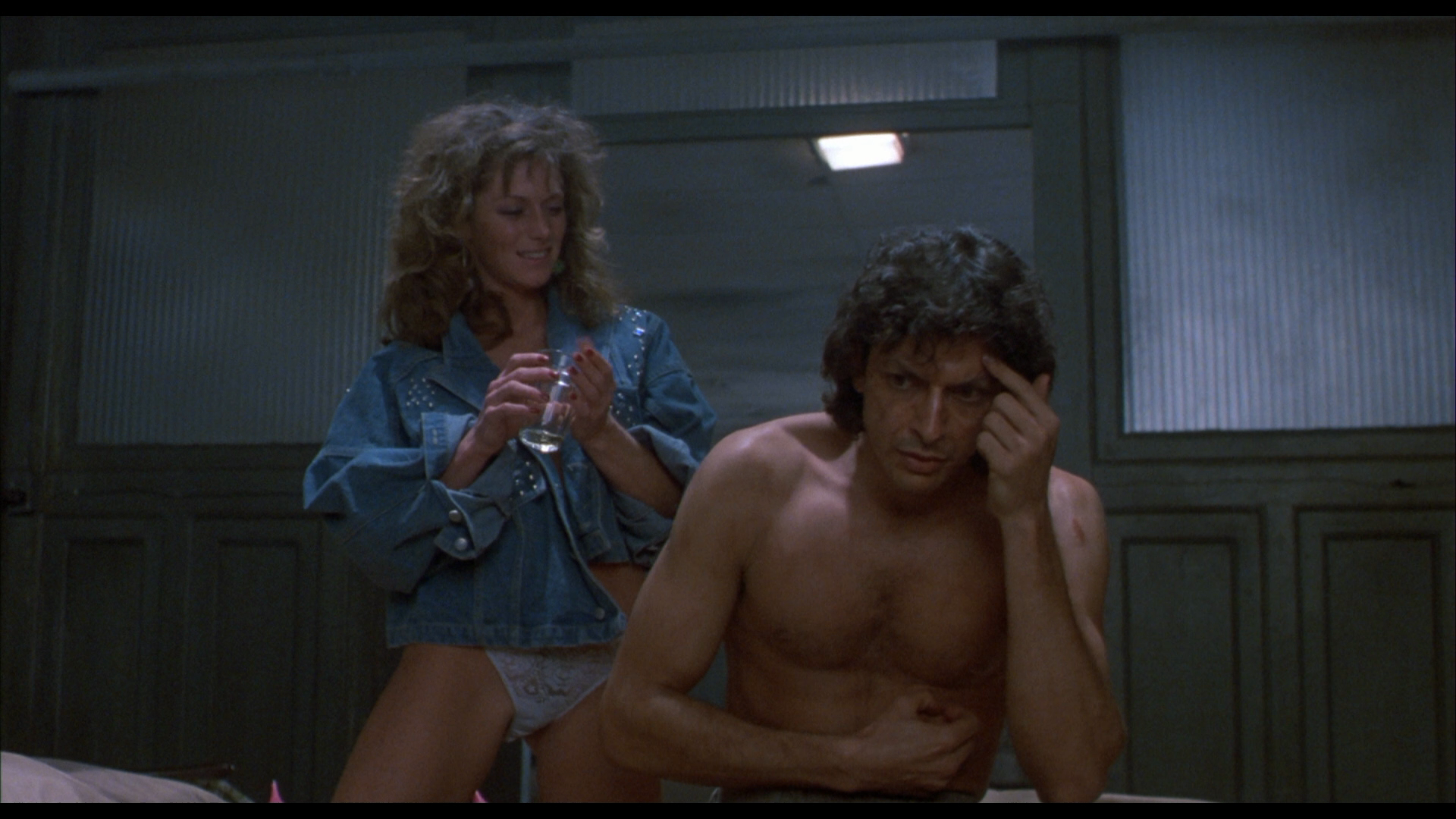 The Fly (1986) cap 8