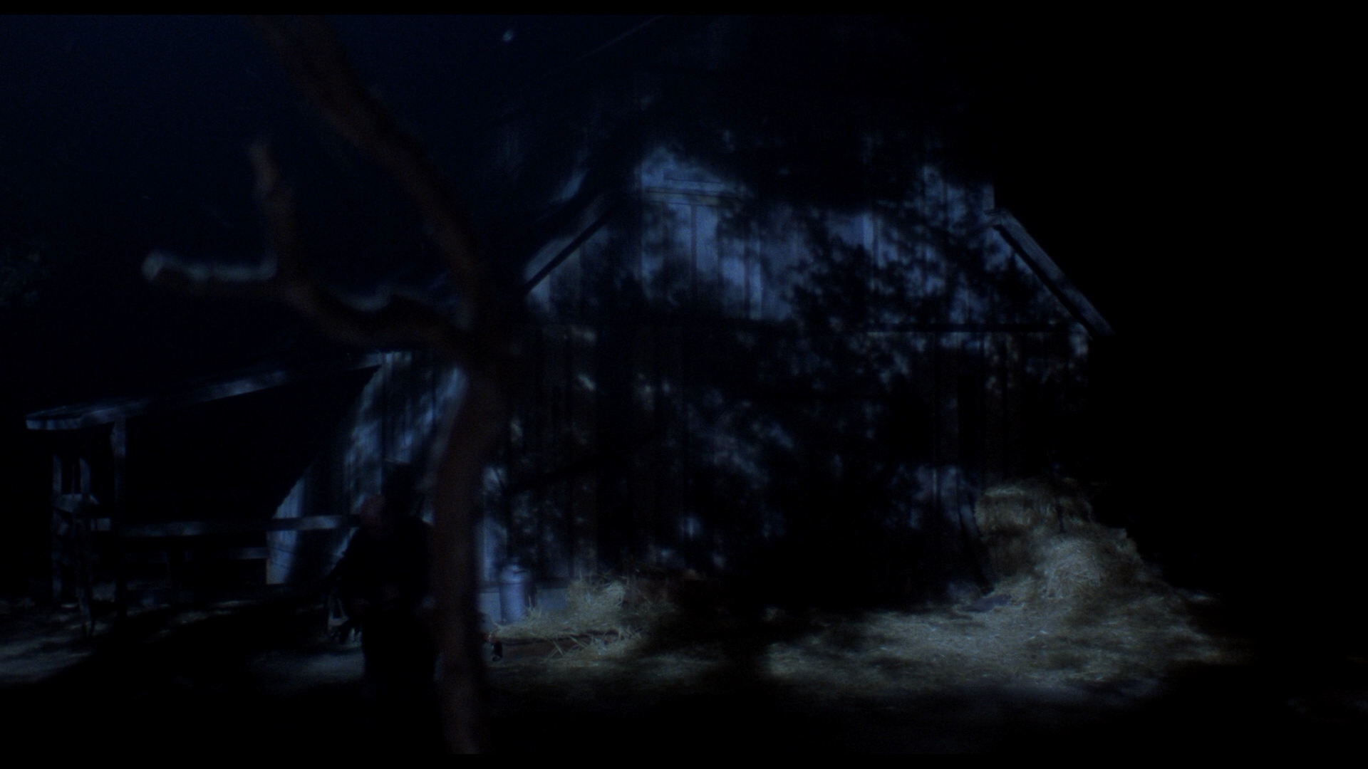 Pumpkinhead steelbook cap 2