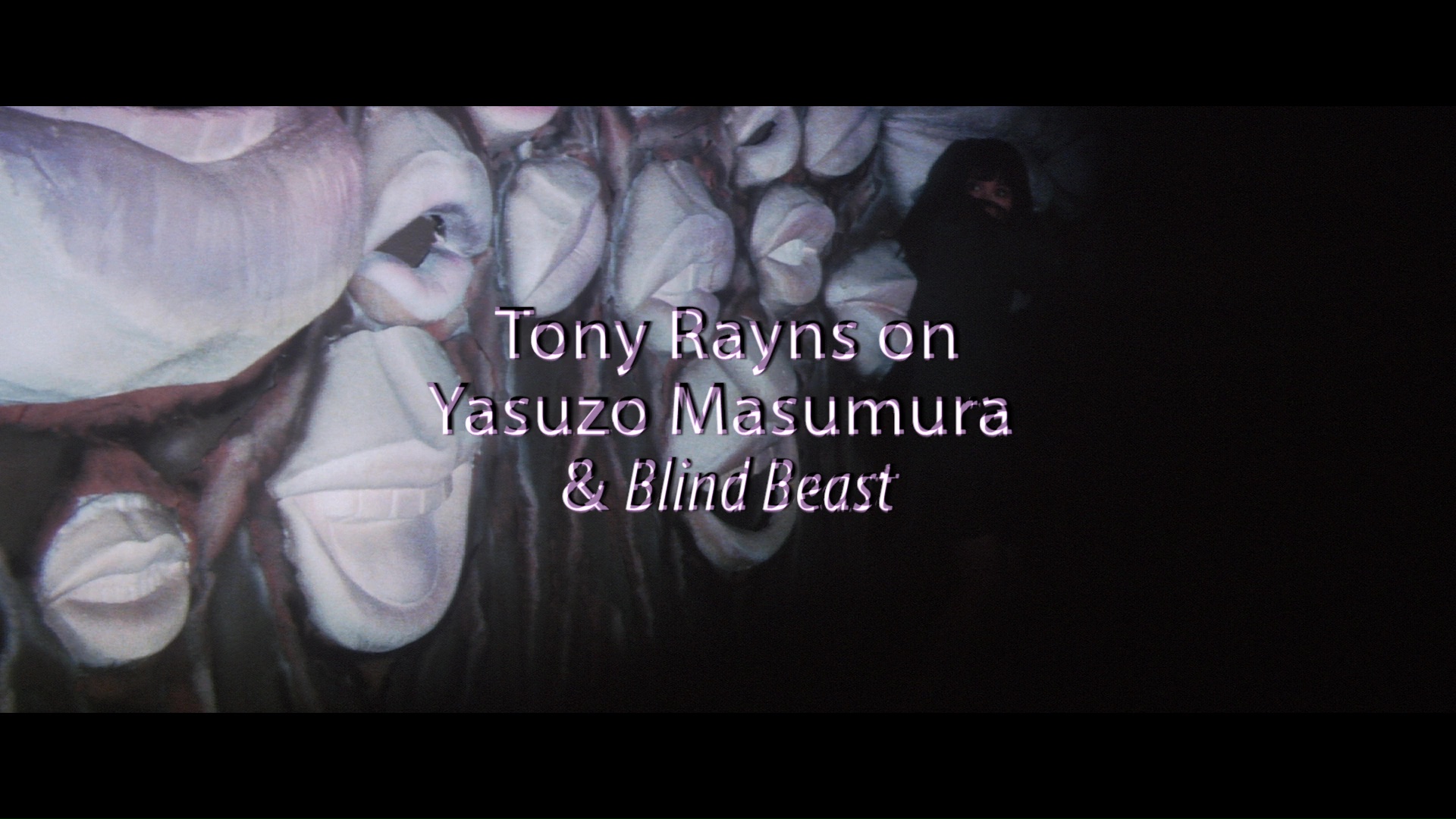 Blind Beast Tony Rayns interview