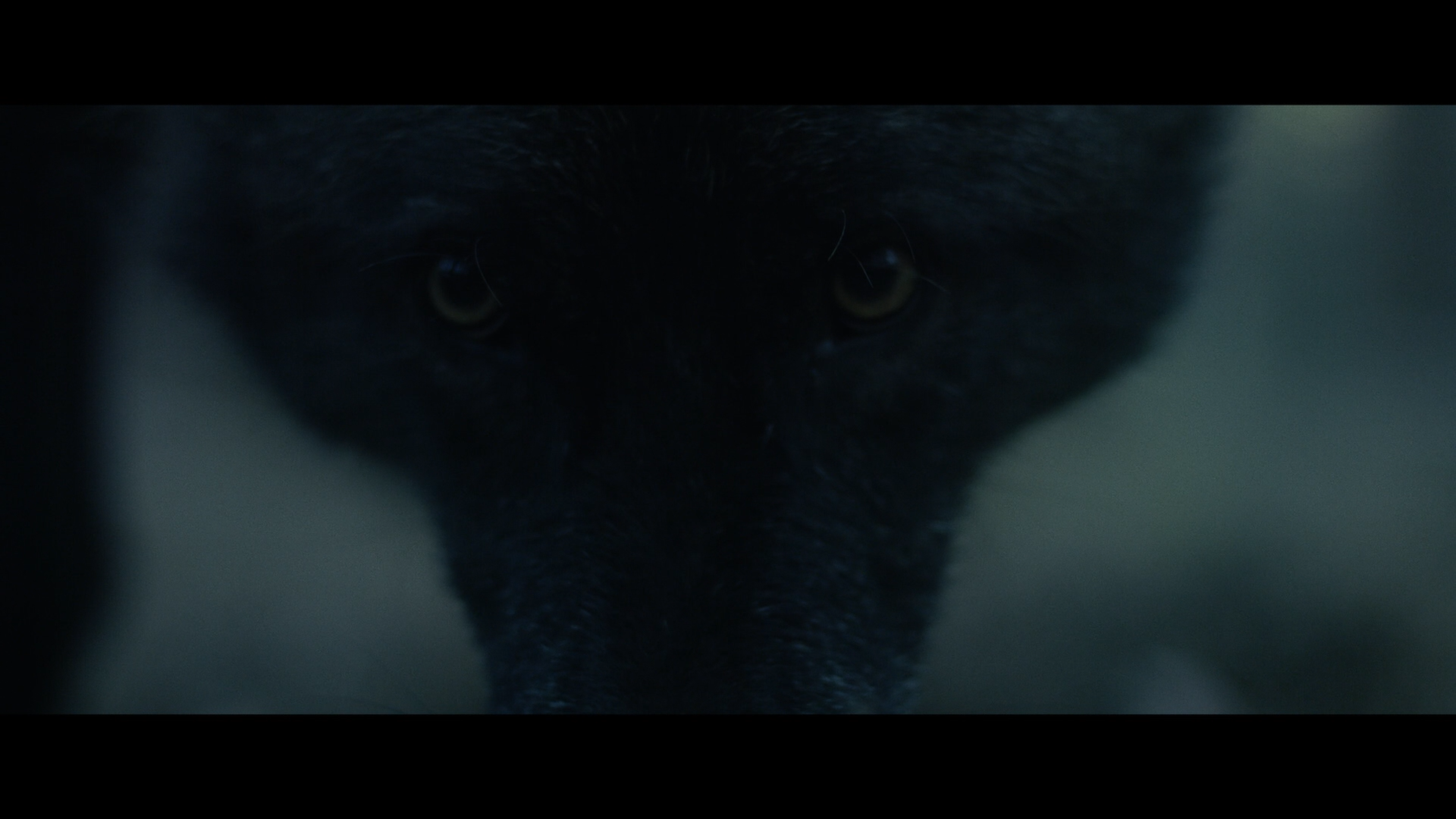 Violation screencap 2