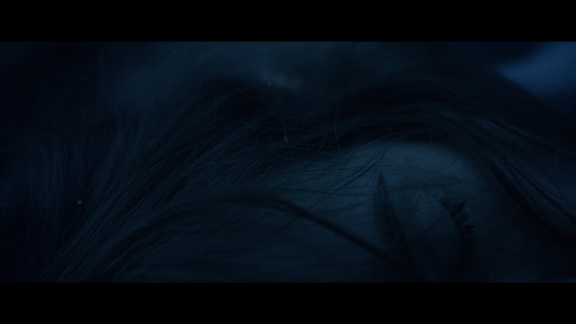 Violation screencap 5