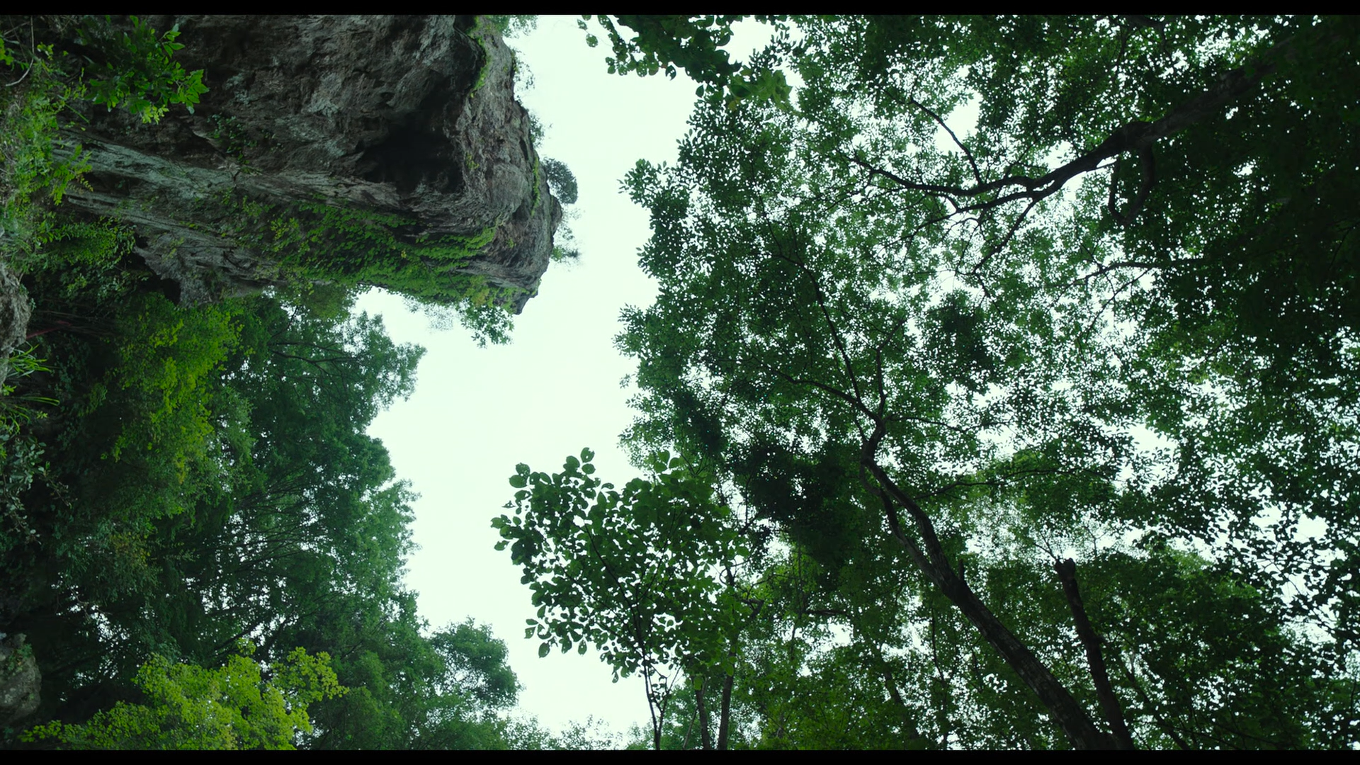 Monstrum screencap 3