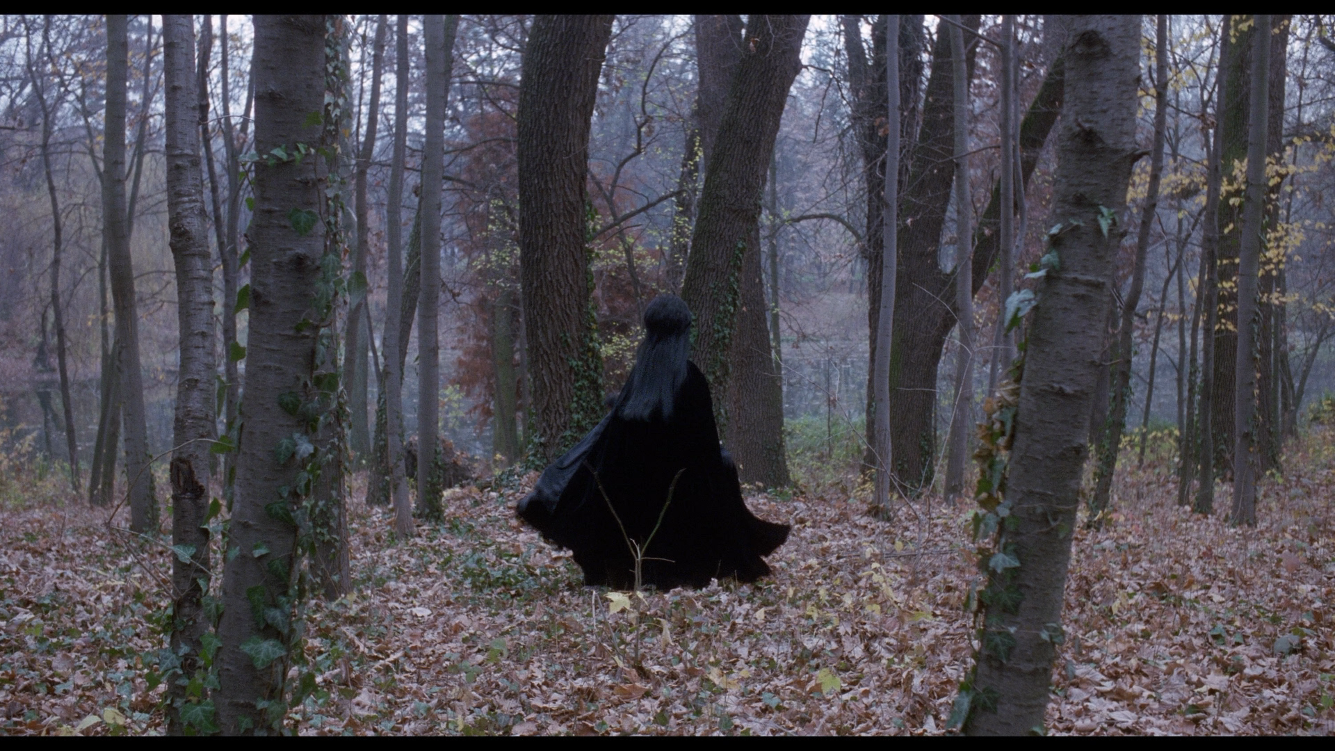 Elvira's Haunted Hills cap 6