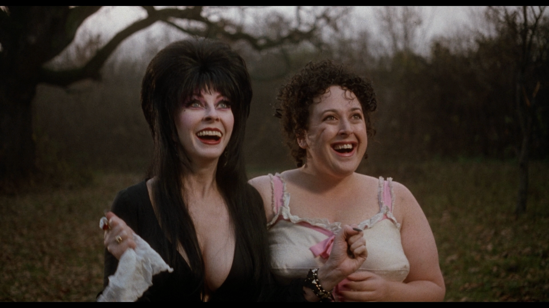 Elvira's Haunted Hills cap 12