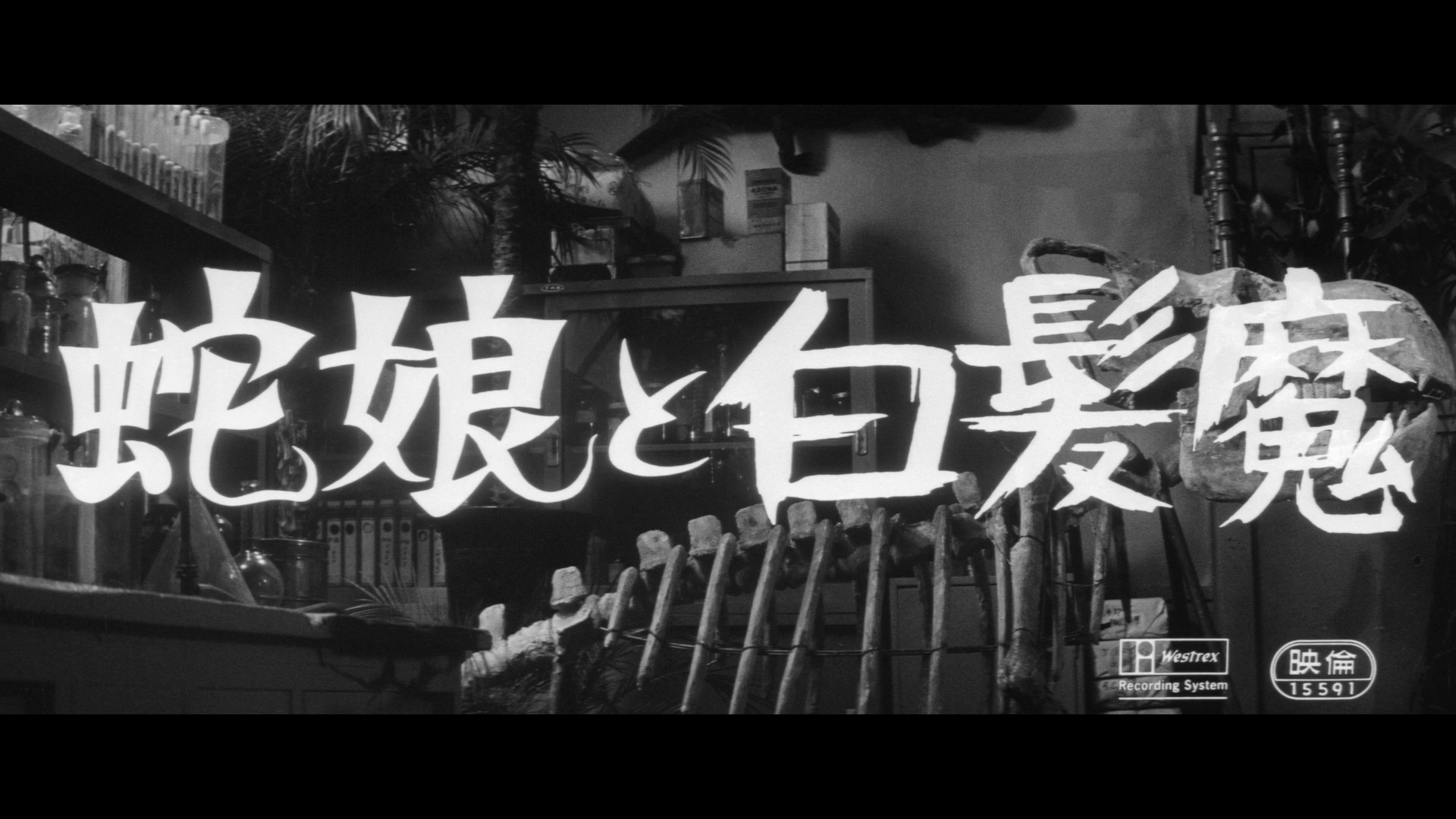 The Snake Girl and the Silver-Haired Witch cap 1