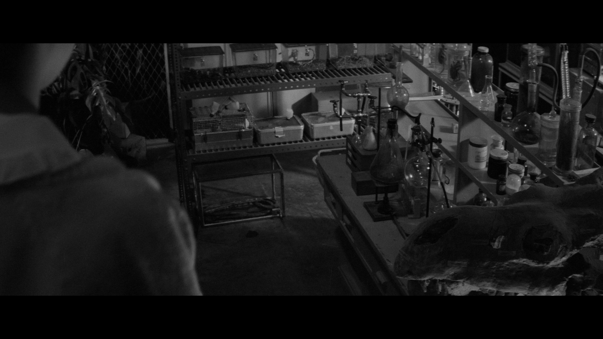 The Snake Girl and the Silver-Haired Witch cap 3