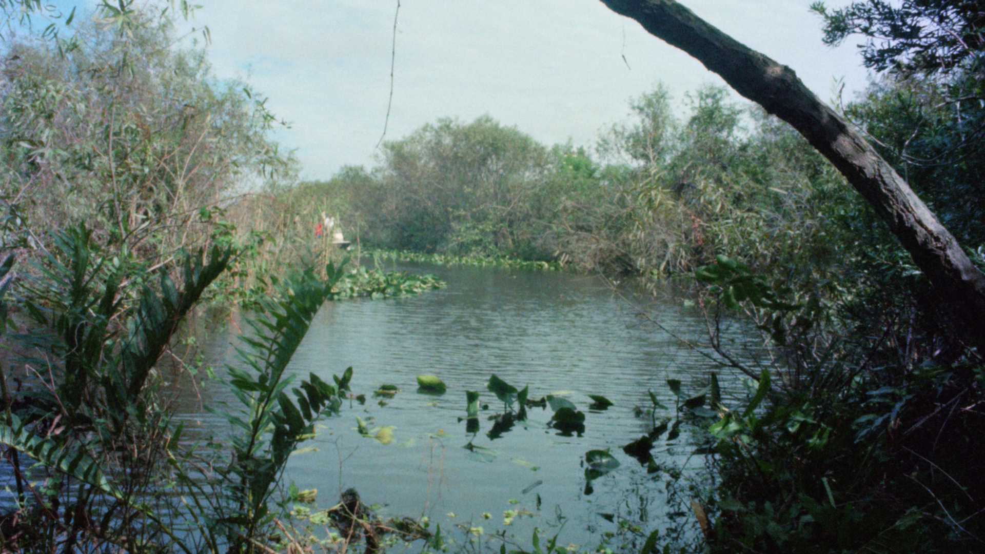 Sting of Death Blu-ray screencap 6