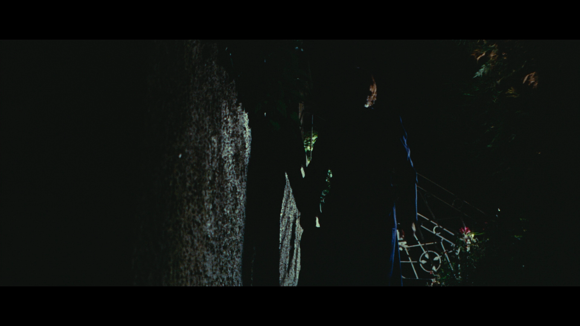 The Designated Victim cap 9