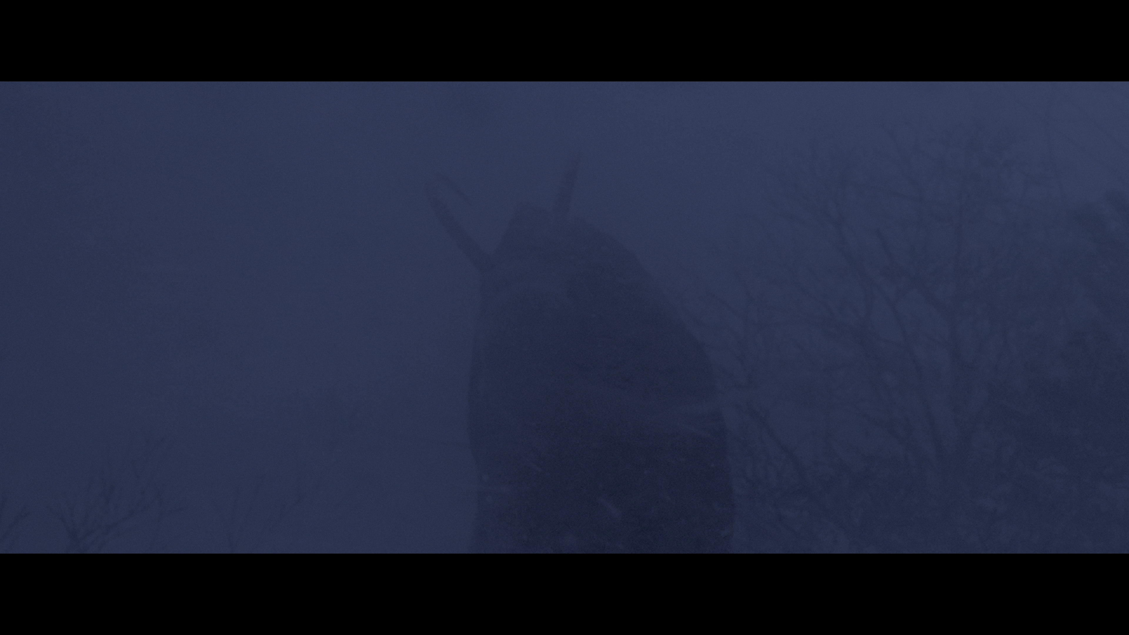 Krampus Naughty Cut 4K cap 3