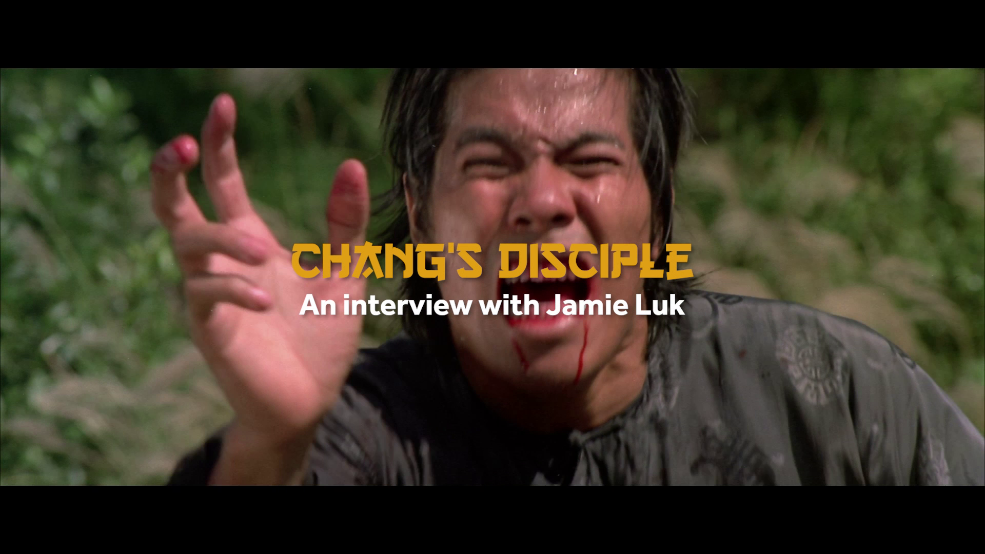 Disciples of Shaolin Jamie Luk interview