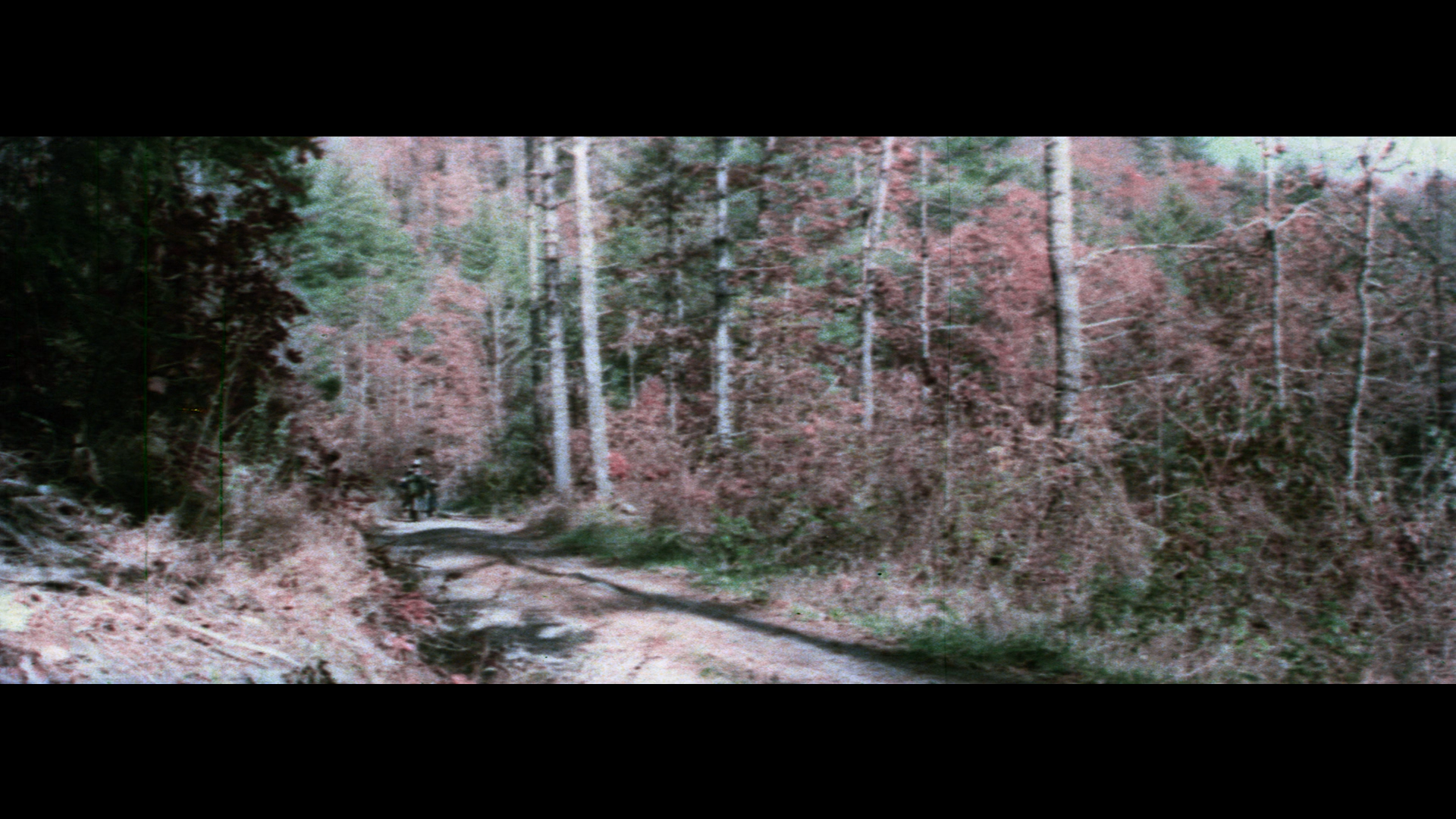 Whiskey Mountain Blu-ray screencap 5