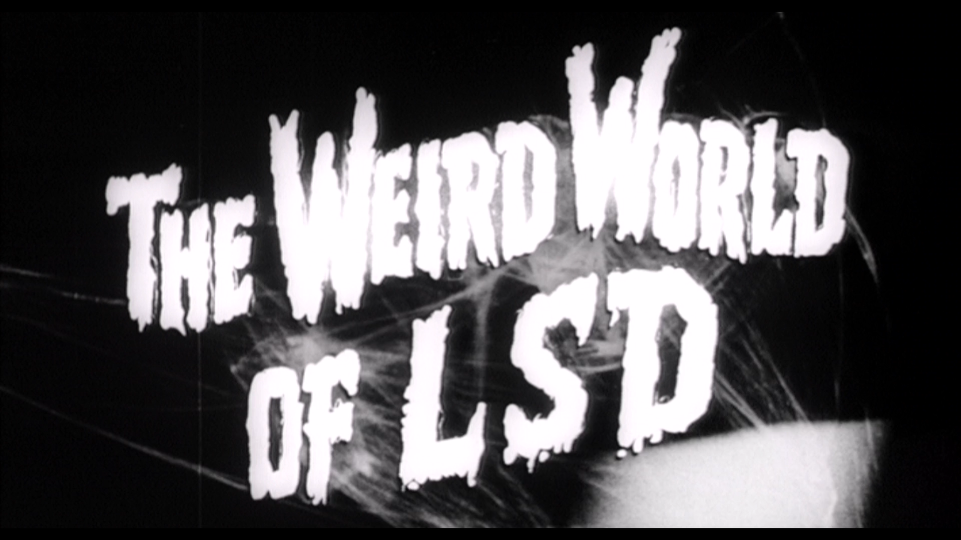 The Weird World of LSD Trailer