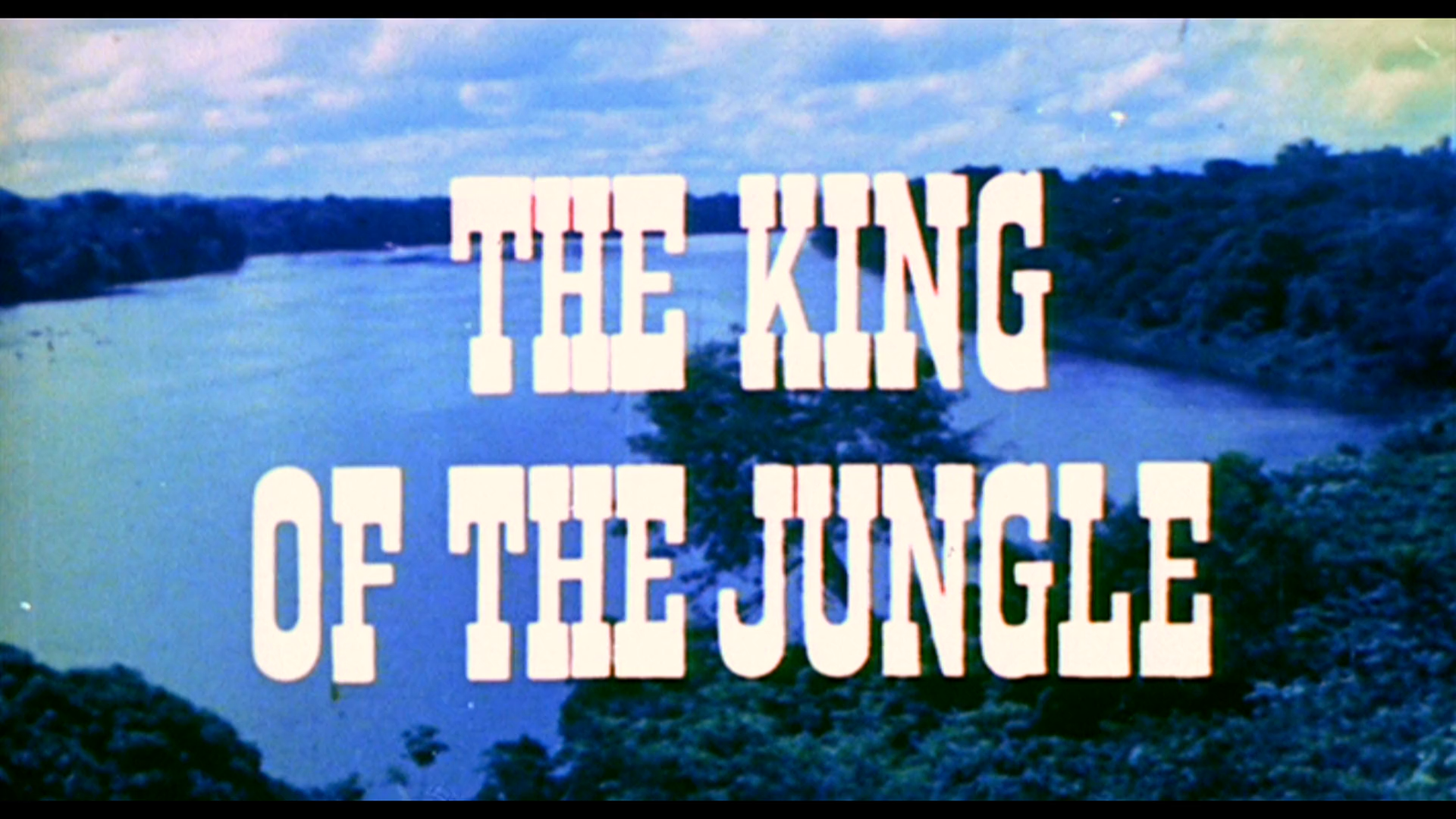 The King of the Jungle Trailer