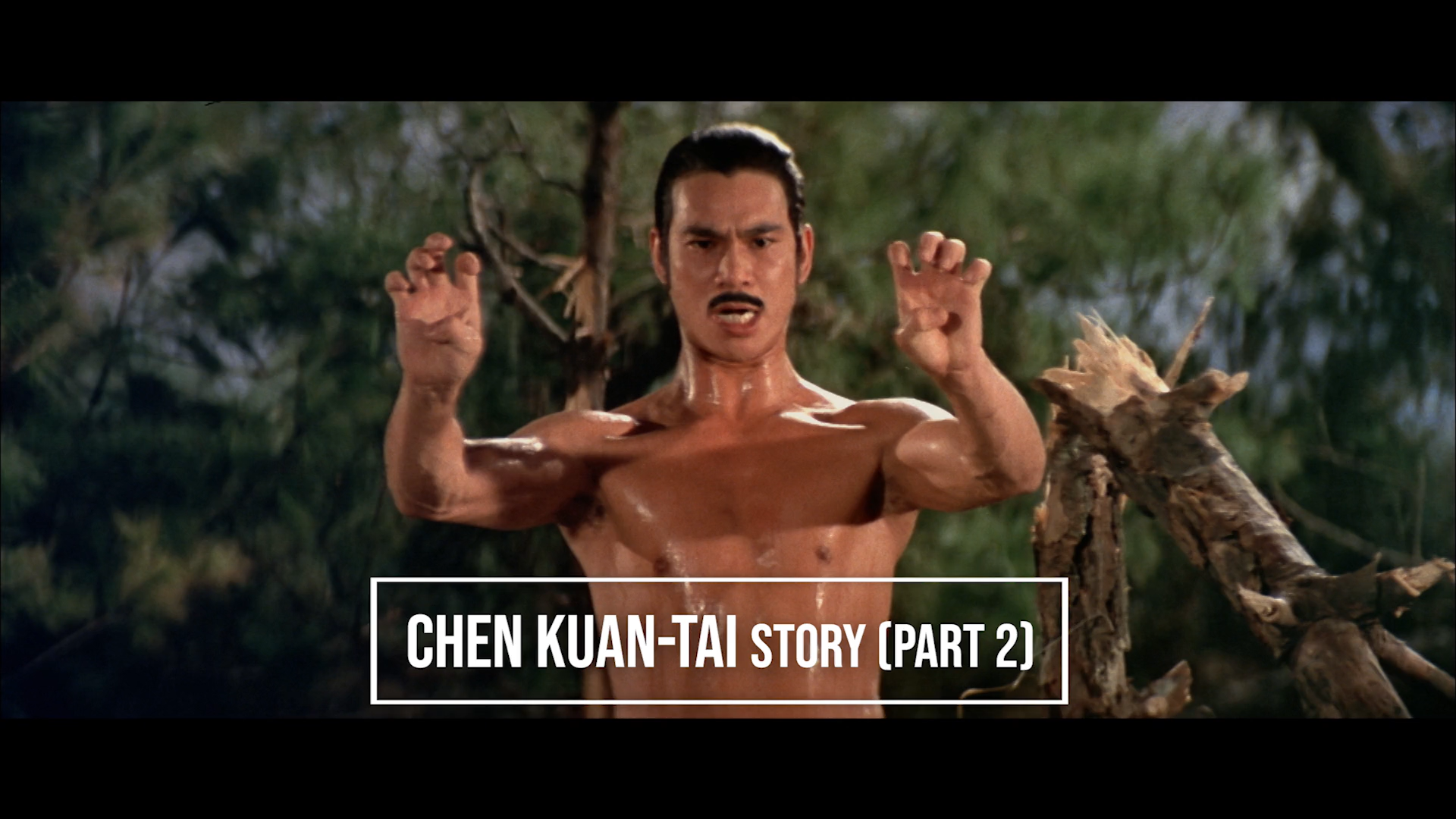 Interview with star Chen Kuan-tai