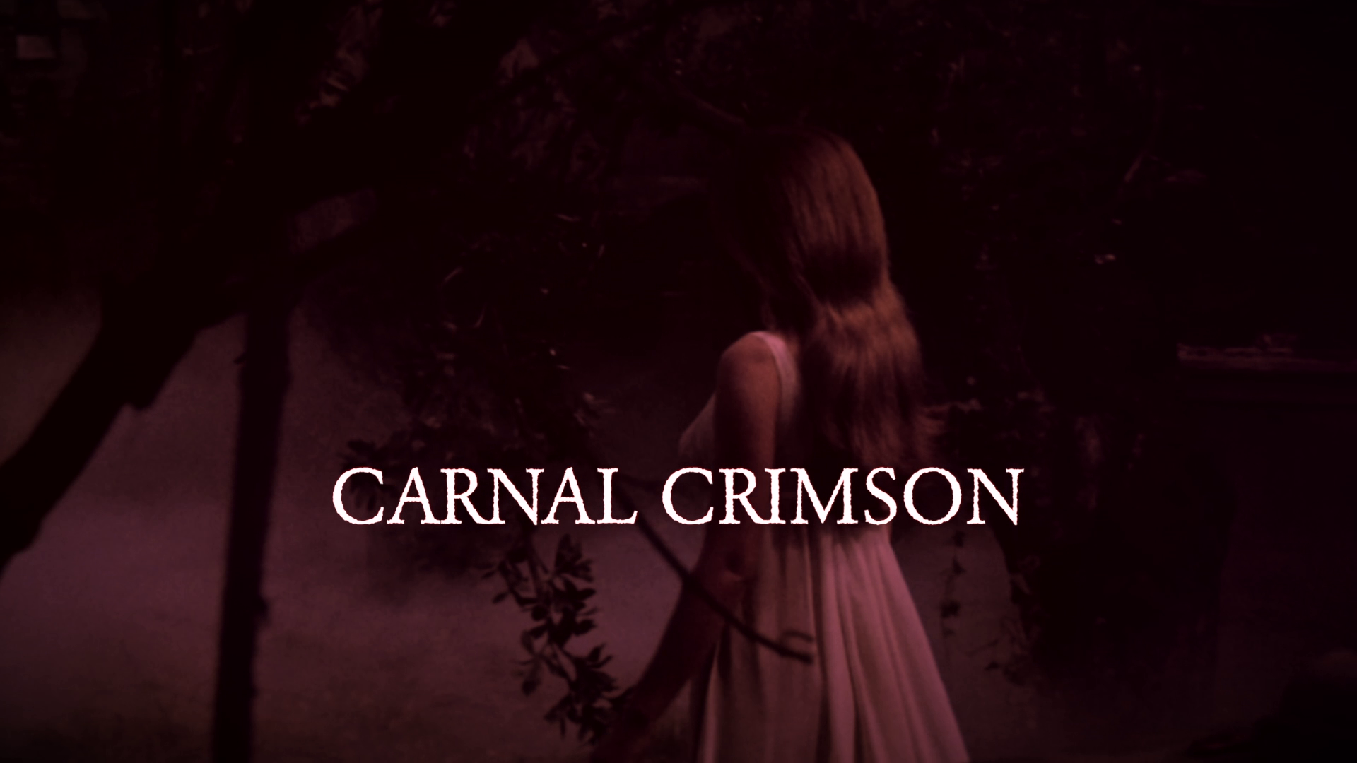 The Vampire Lovers Kim Newman interview