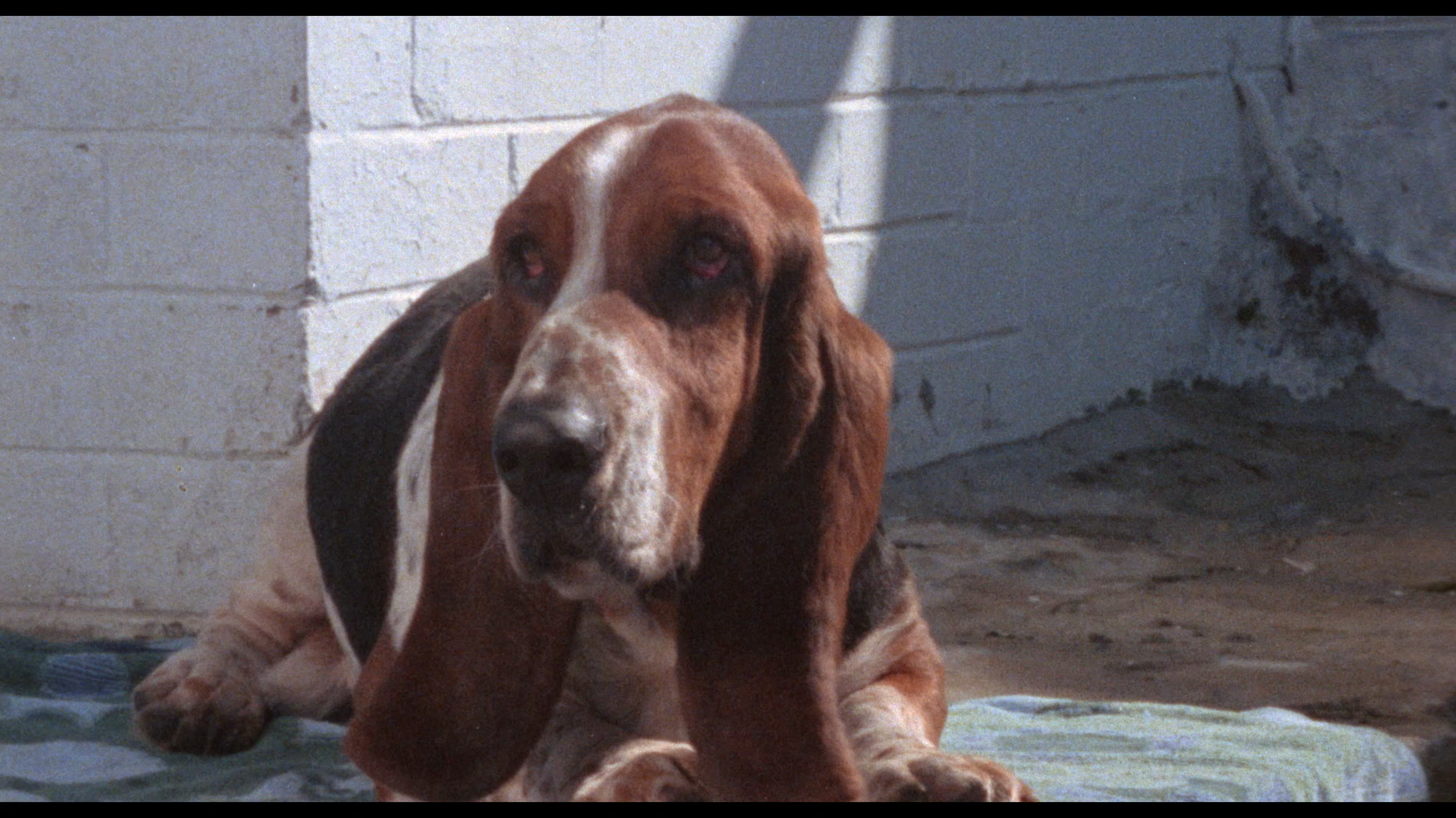 Deathcheaters Blu-ray screencap 6