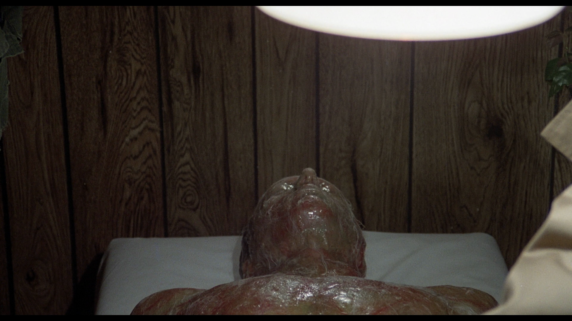 Invasion of the Body Snatchers cap 5