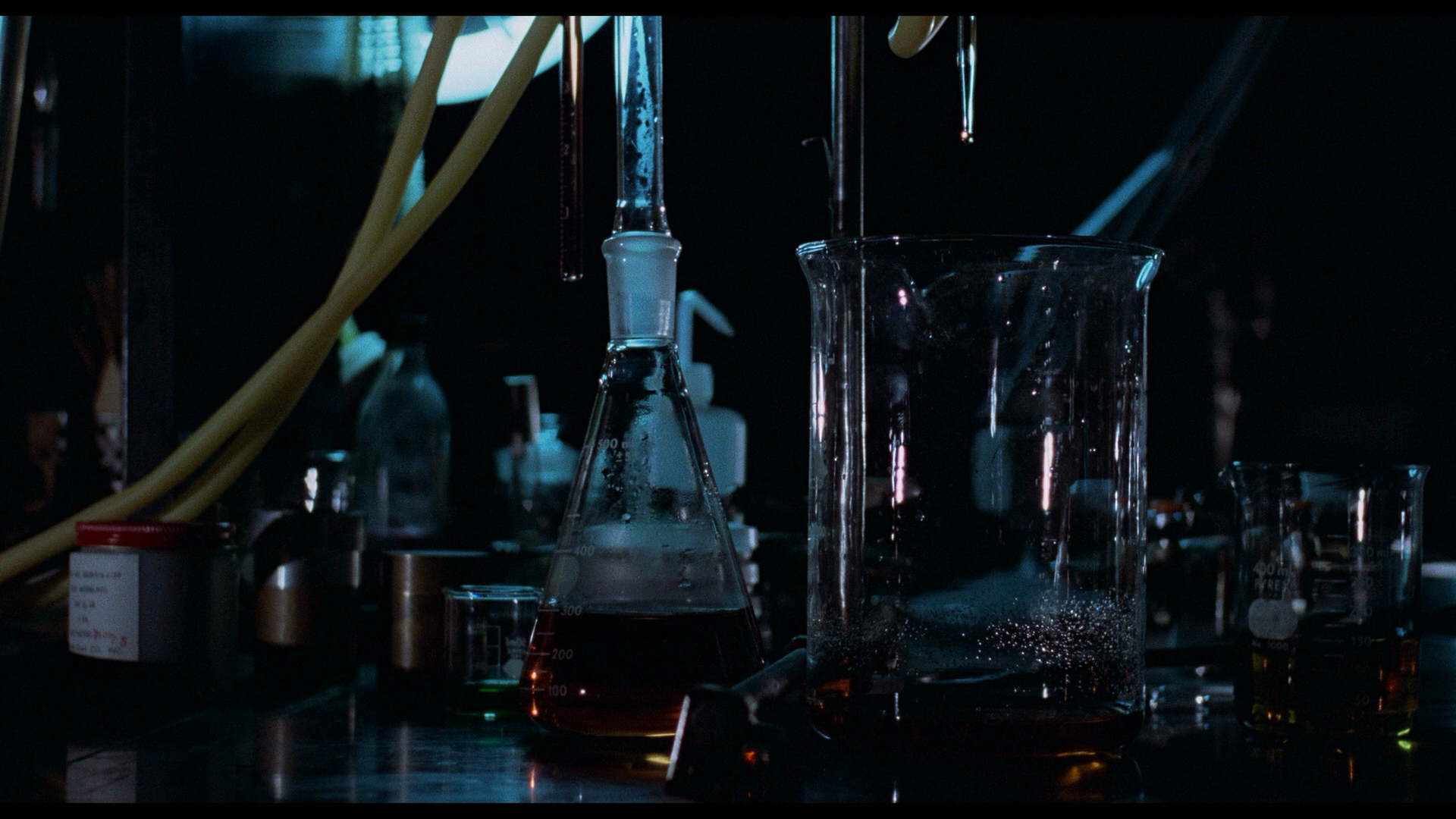 Invasion of the Body Snatchers cap 10