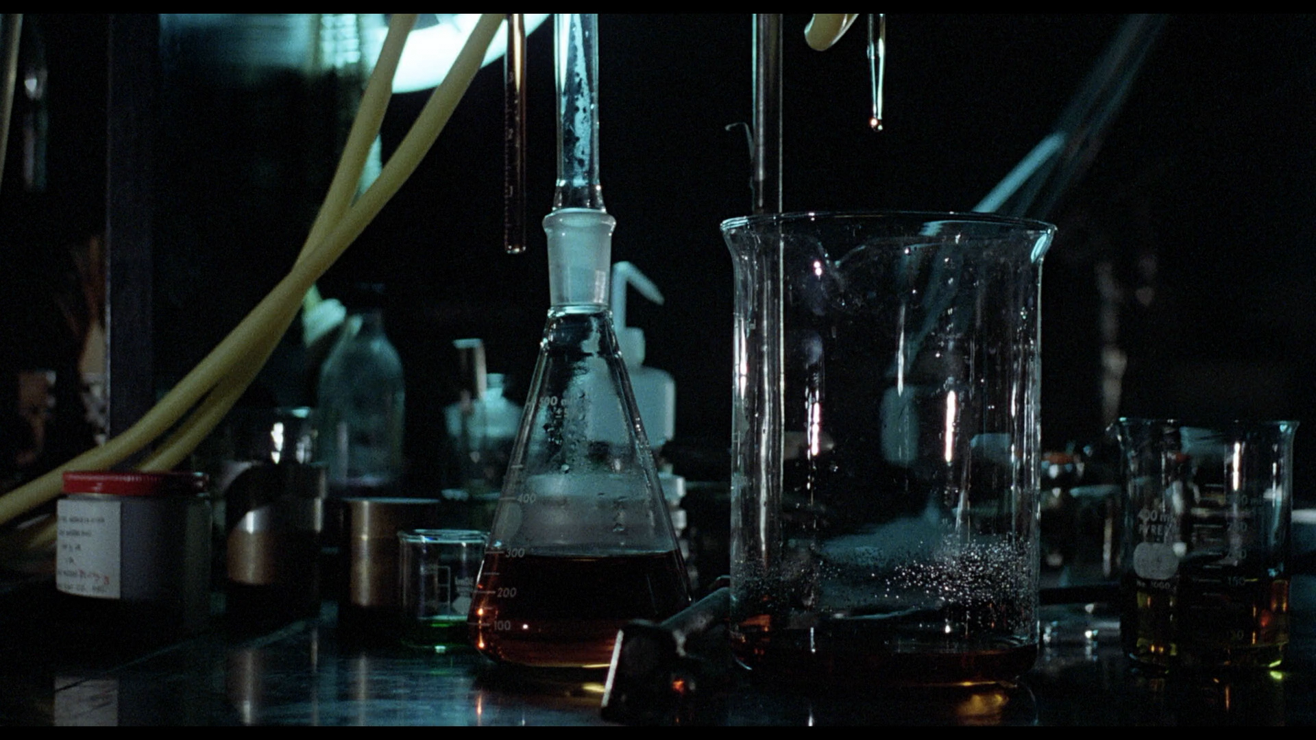 Invasion of the Body Snatchers cap 9