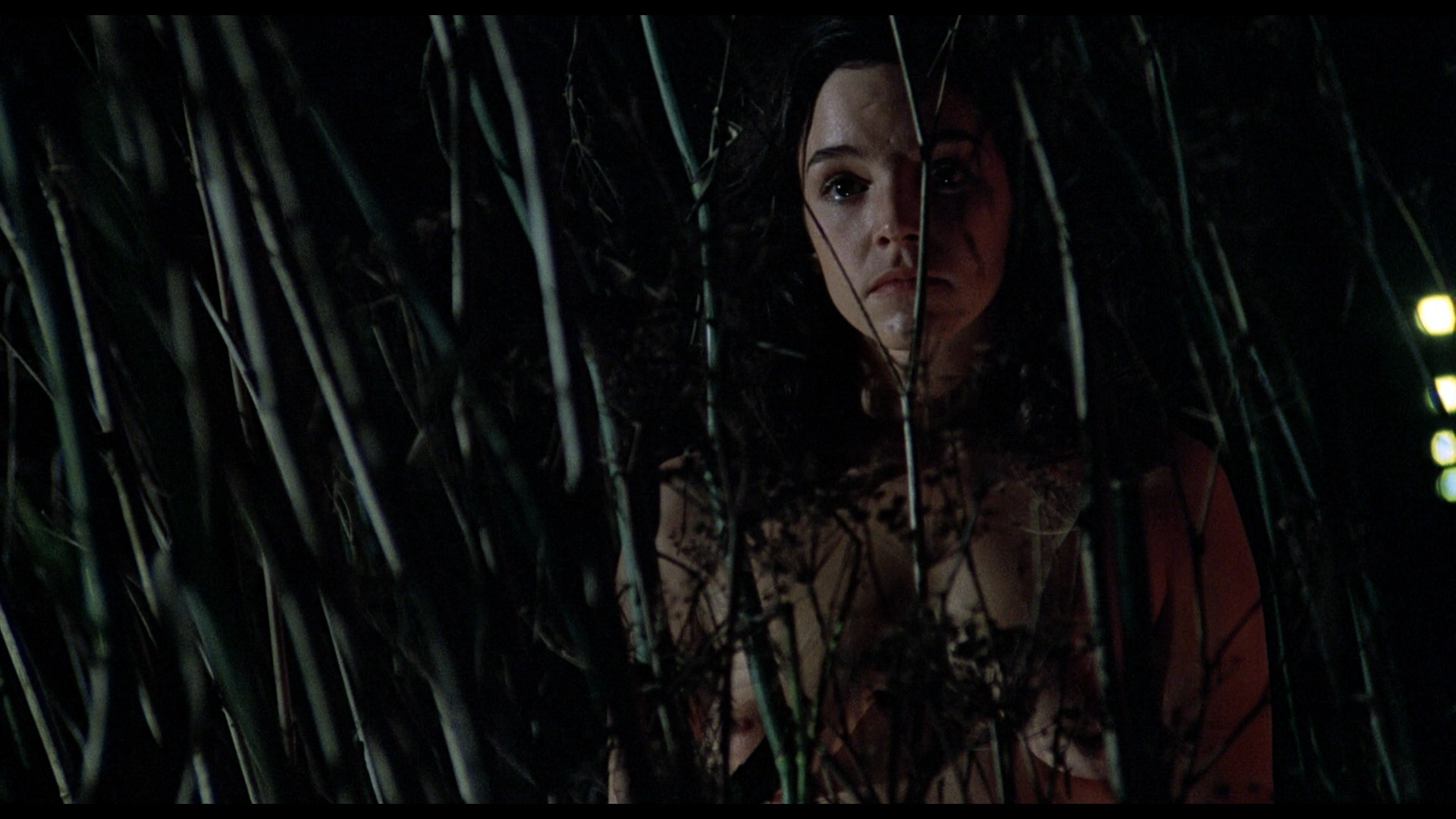 Invasion of the Body Snatchers cap 11