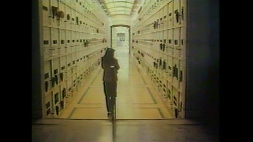 Alternate Director's Cut/Workprint Version