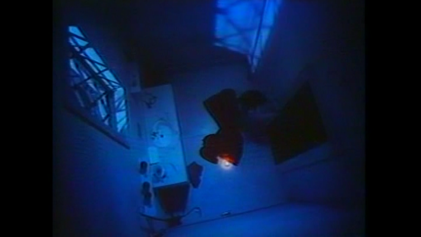 Alternate Director's Cut/Workprint Version