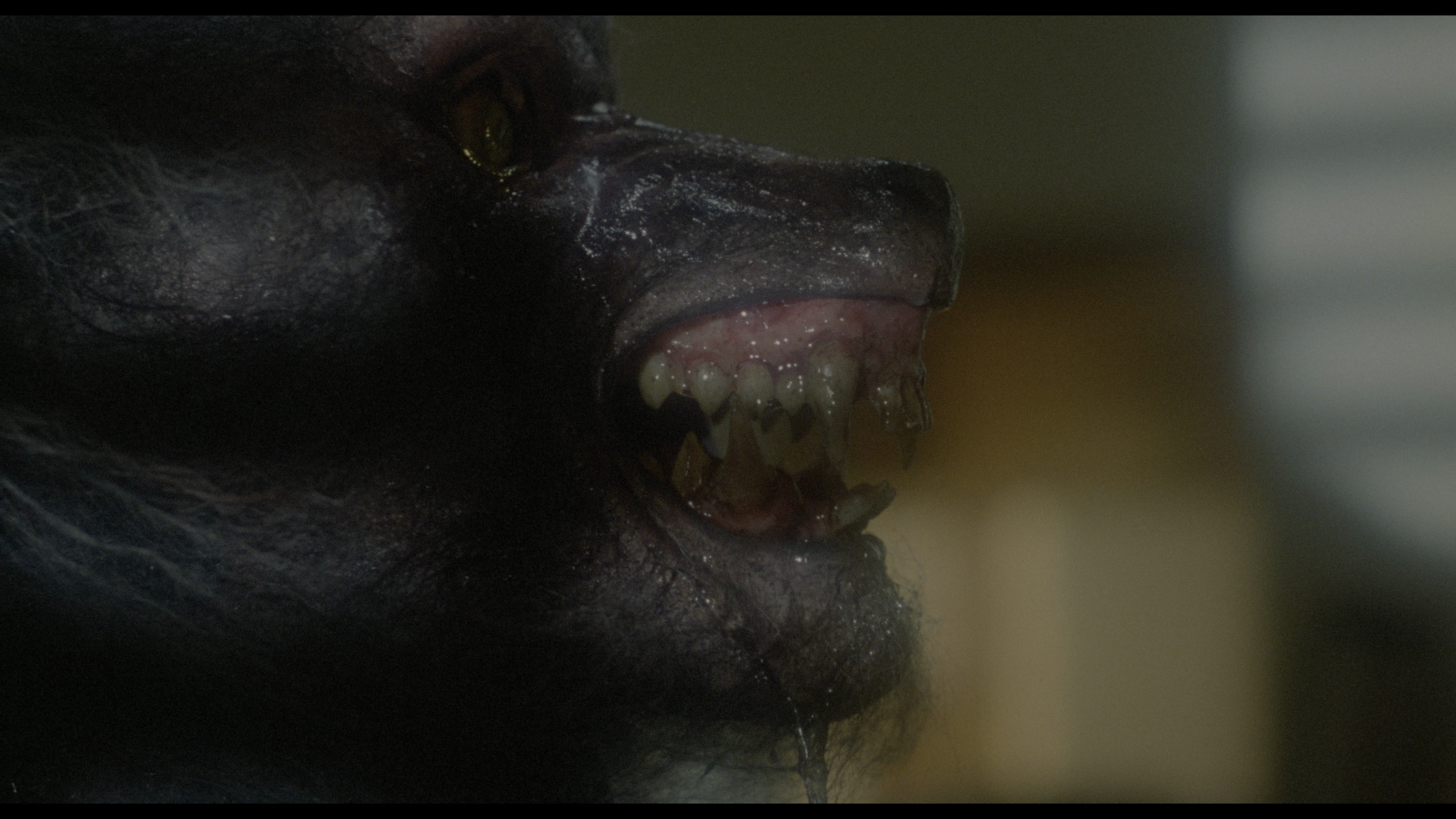 The Howling 4K cap 6