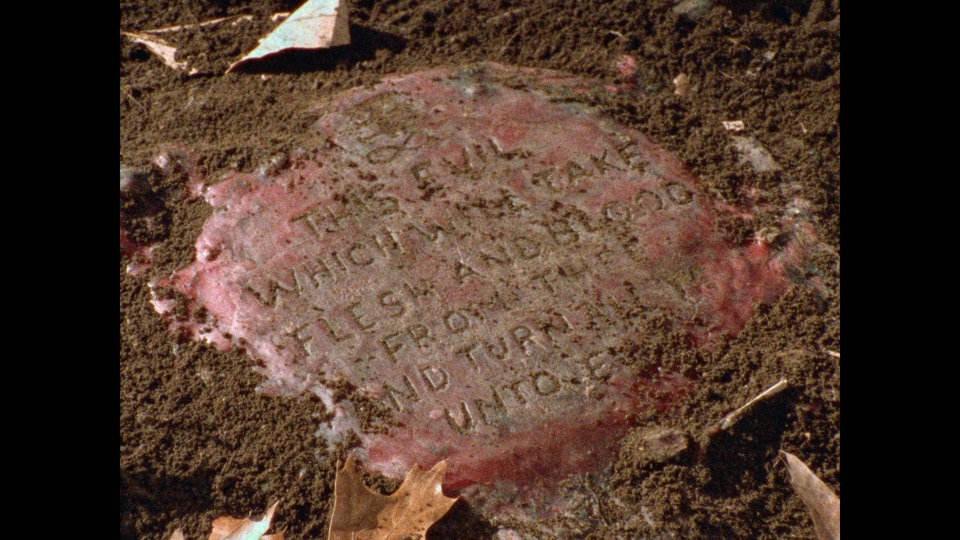 Flesheater Blu-ray cap 2