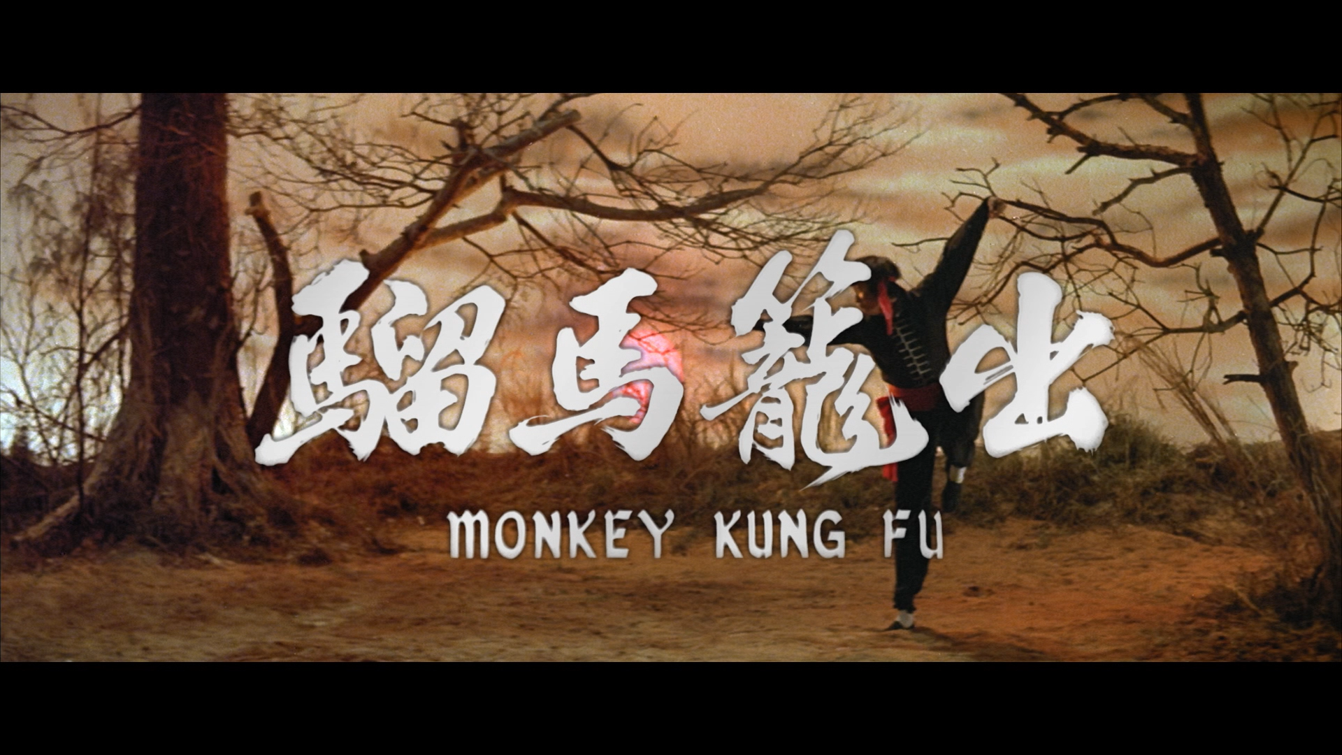 Monkey Kung Fu Blu-ray screencap 1
