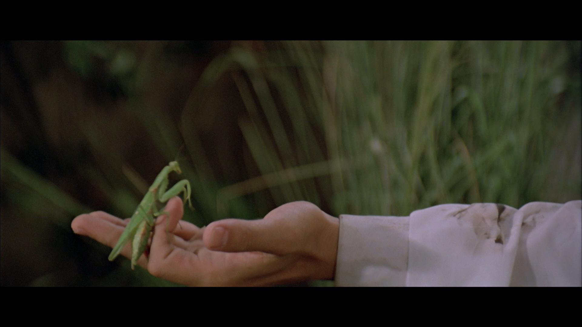Shaolin Mantis Blu-ray screencap 10