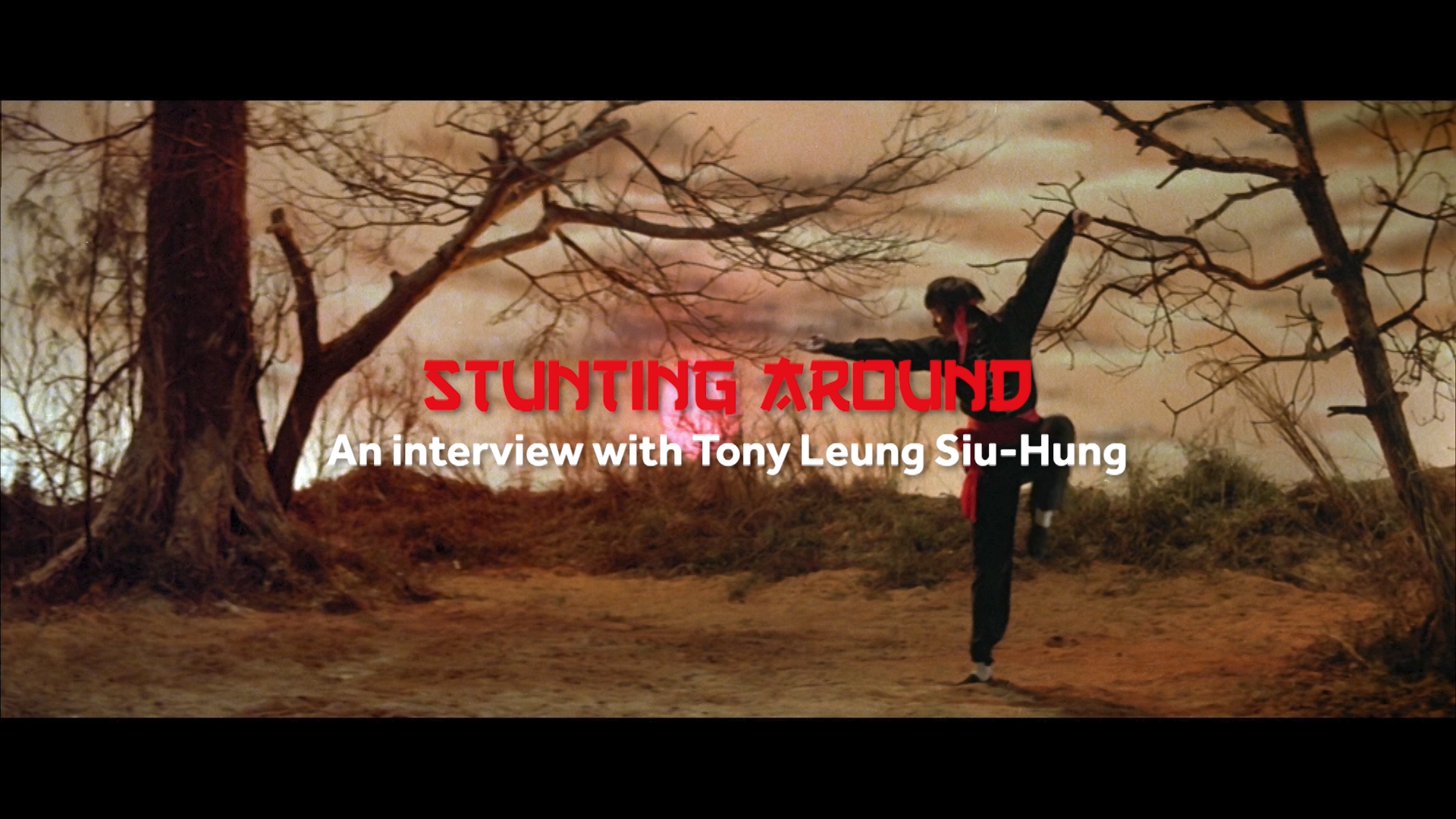 Stunting Around – An Interview with Choreographer Tony Leung Siu-hung