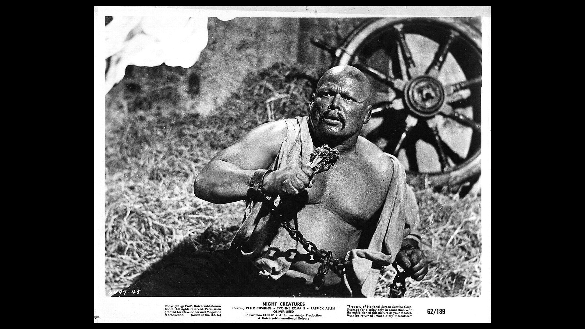 Night Creatures still gallery