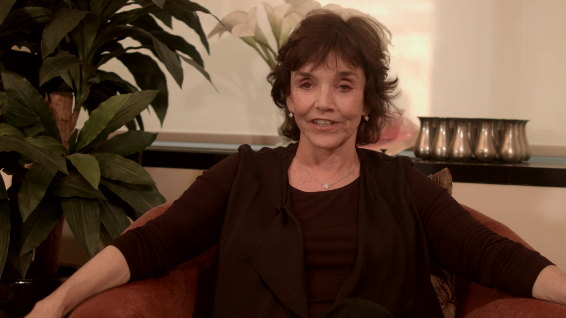 Shock Waves Brooke Adams interview