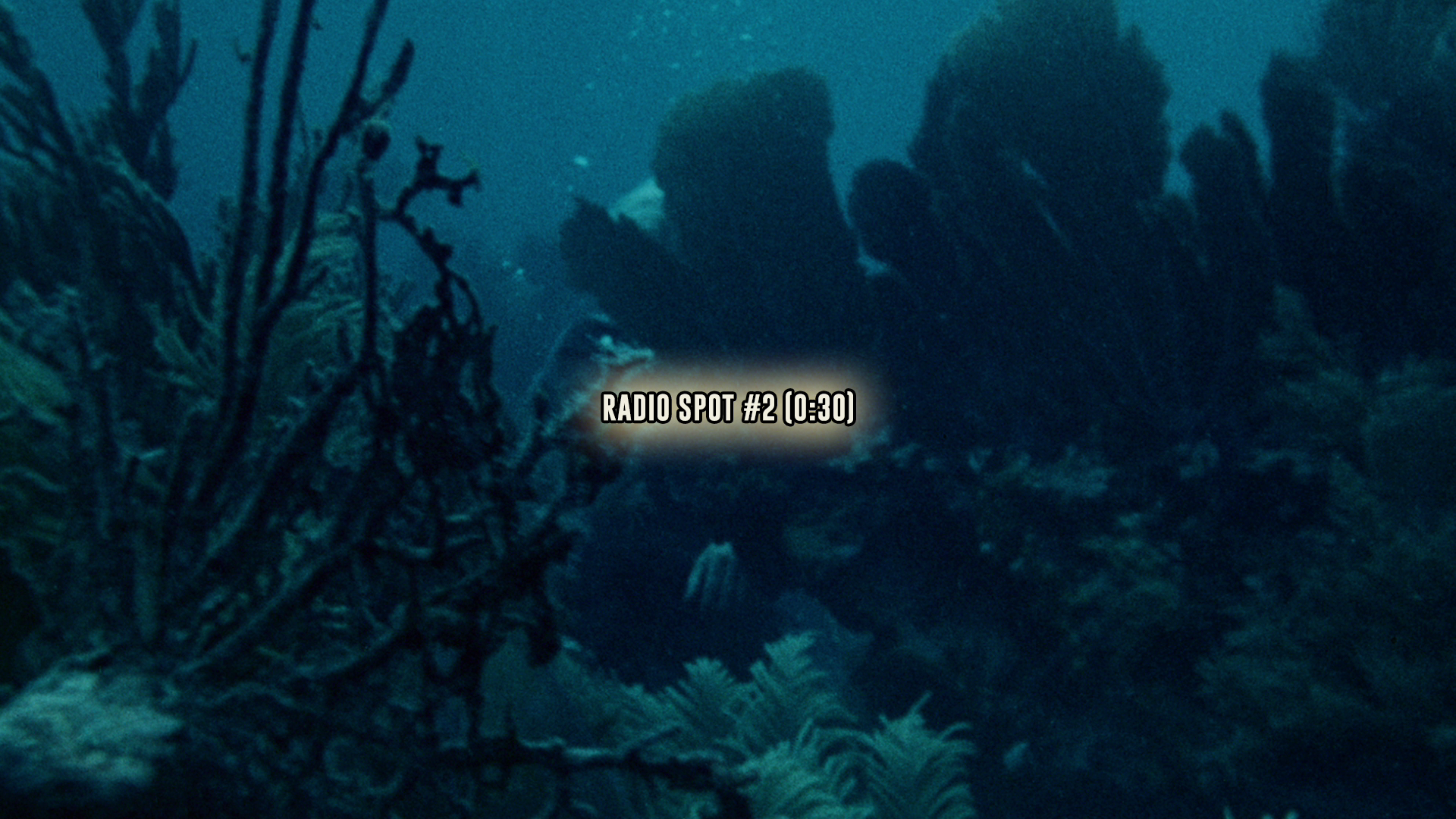 Shock Waves radio spots