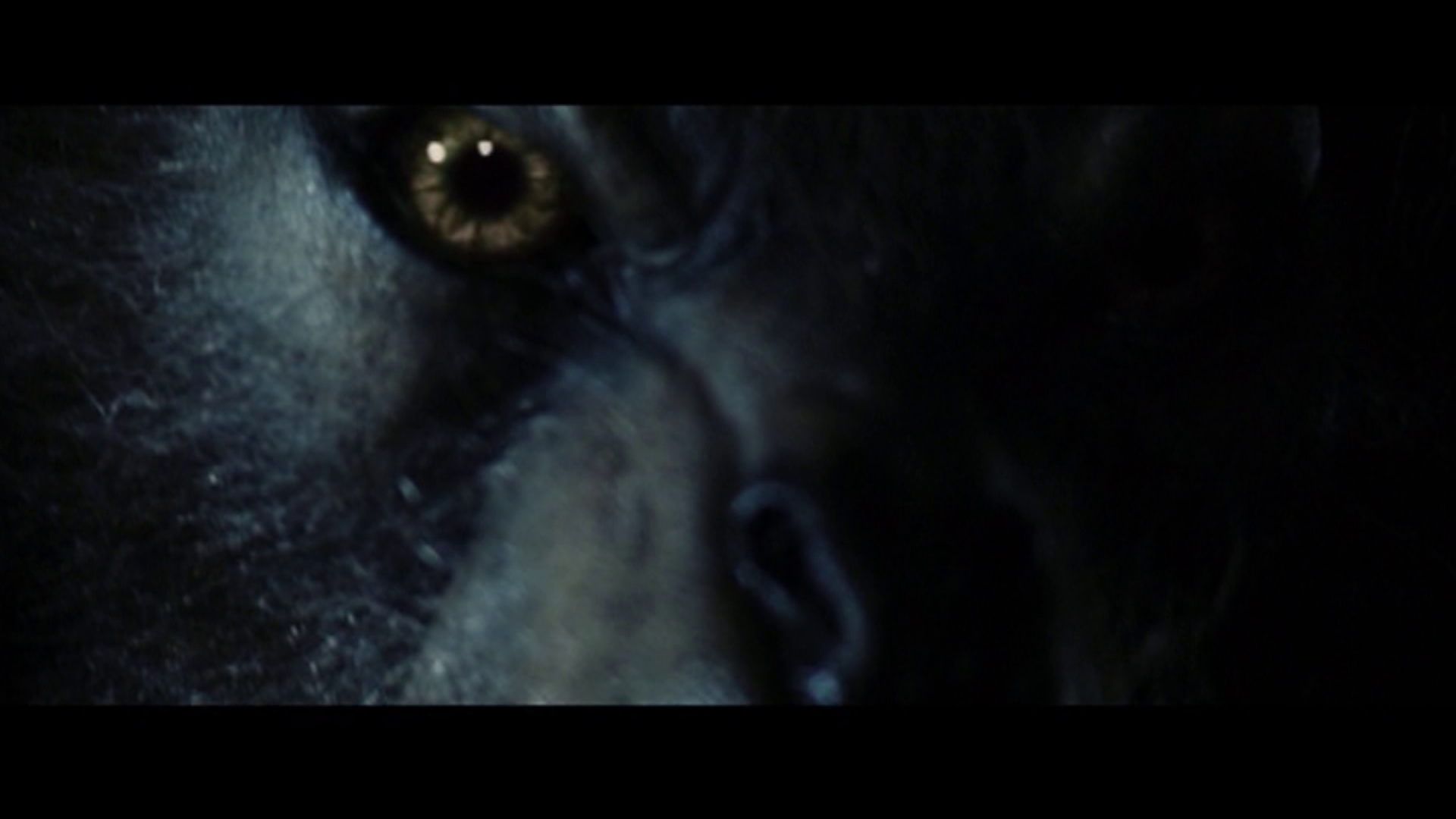 Cursed select scenes