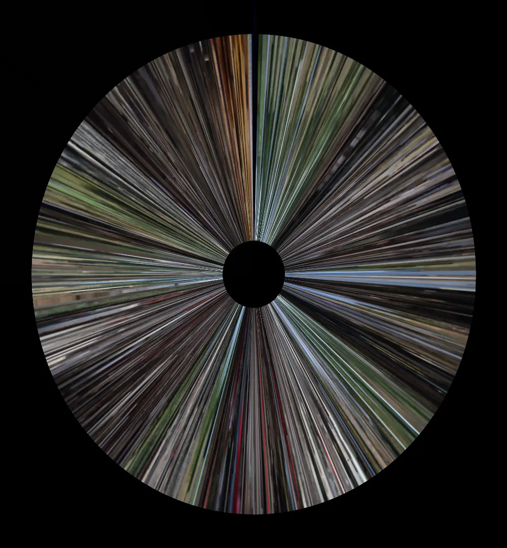 Monkey Kung Fu Blu-ray Color Barcode