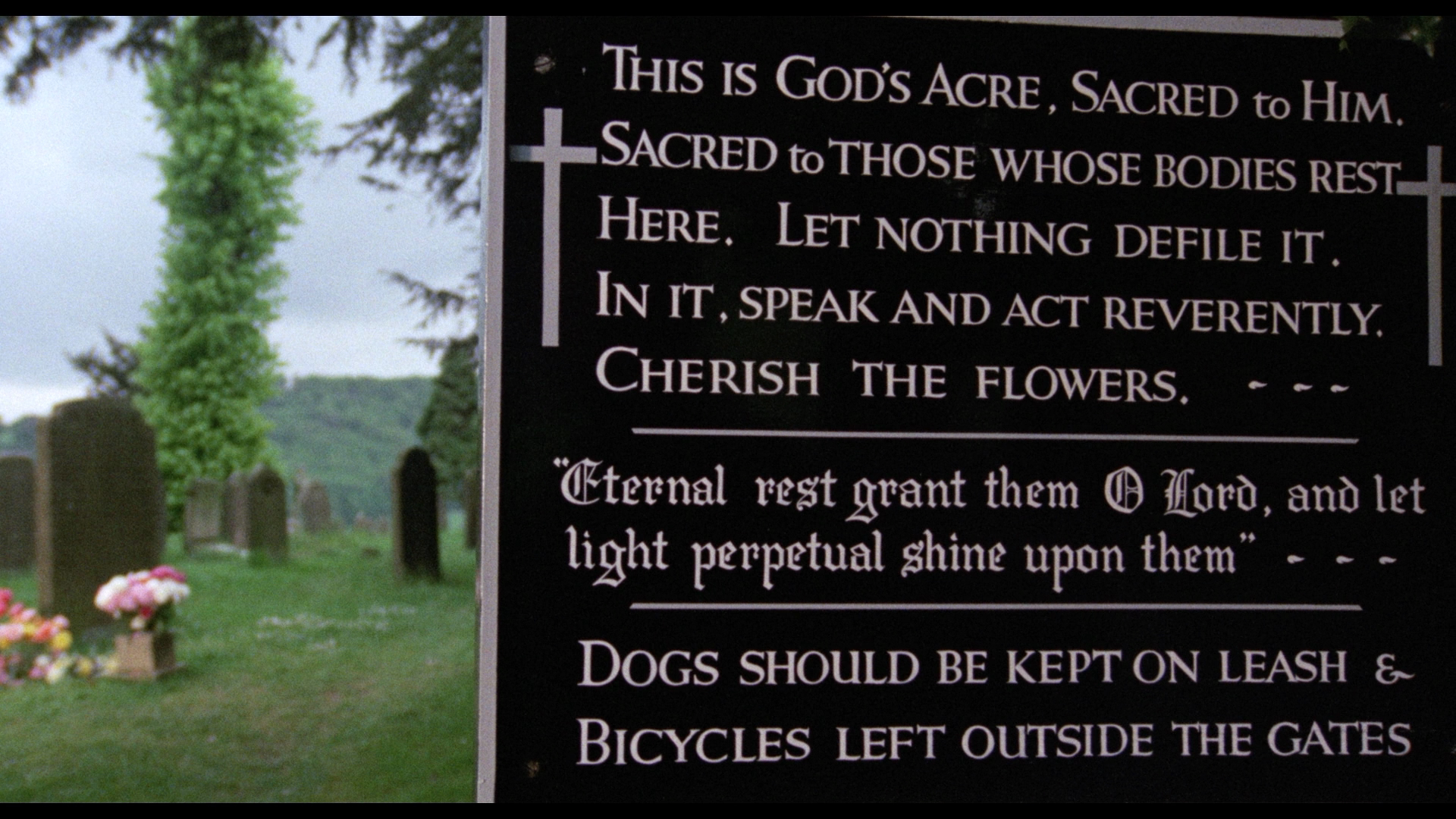 The Living Dead at Manchester Morgue cap 6