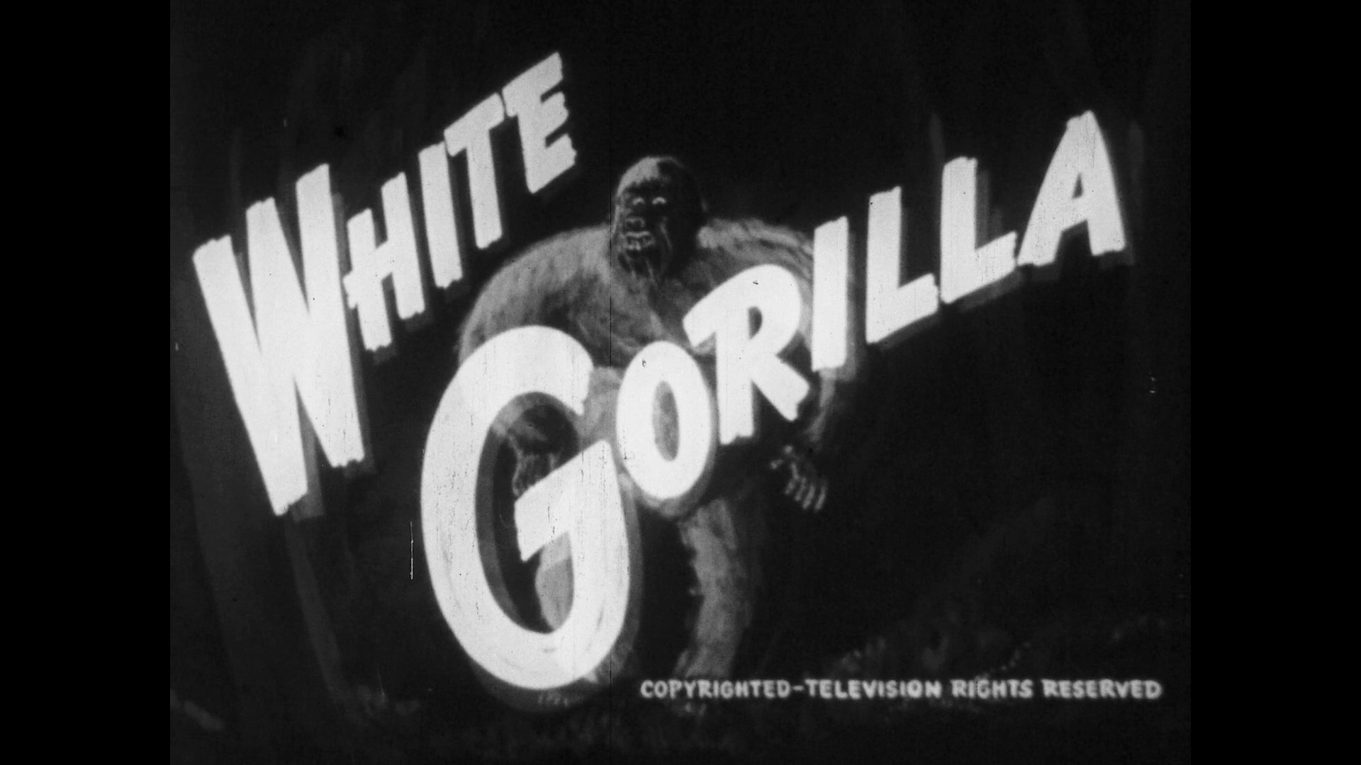 Berserker shorts from the Something Weird Vaults