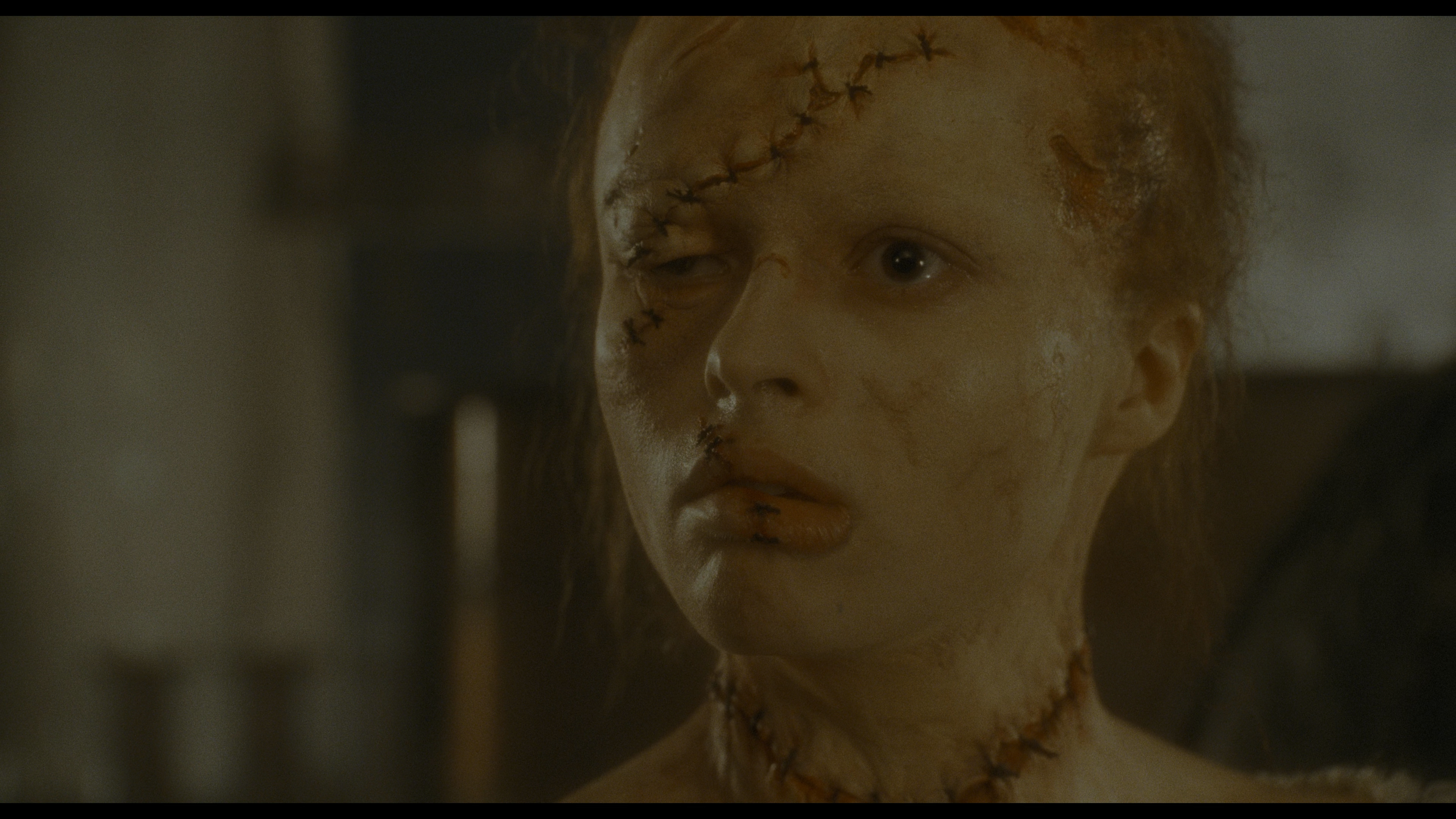 Mary Shelley's Frankenstein 4K cap 6