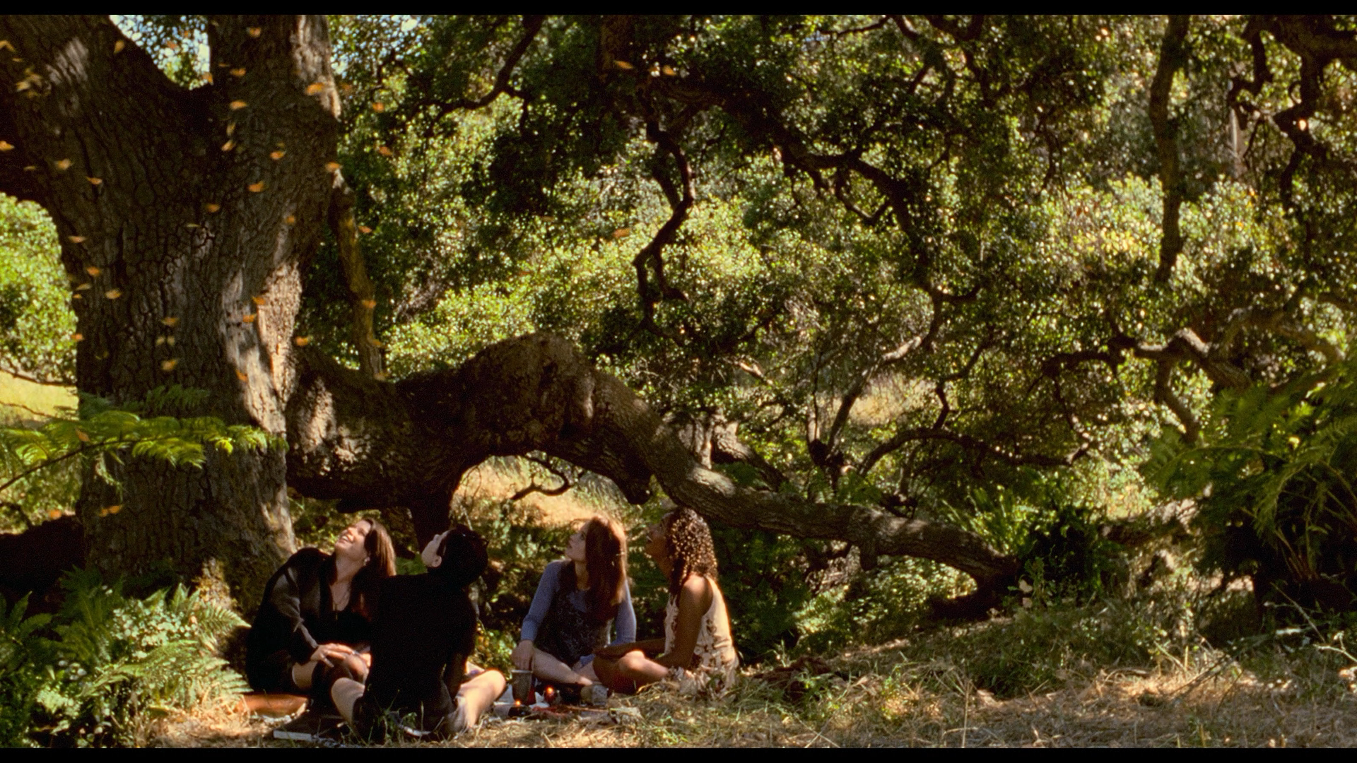 The Craft Blu-ray cap 3